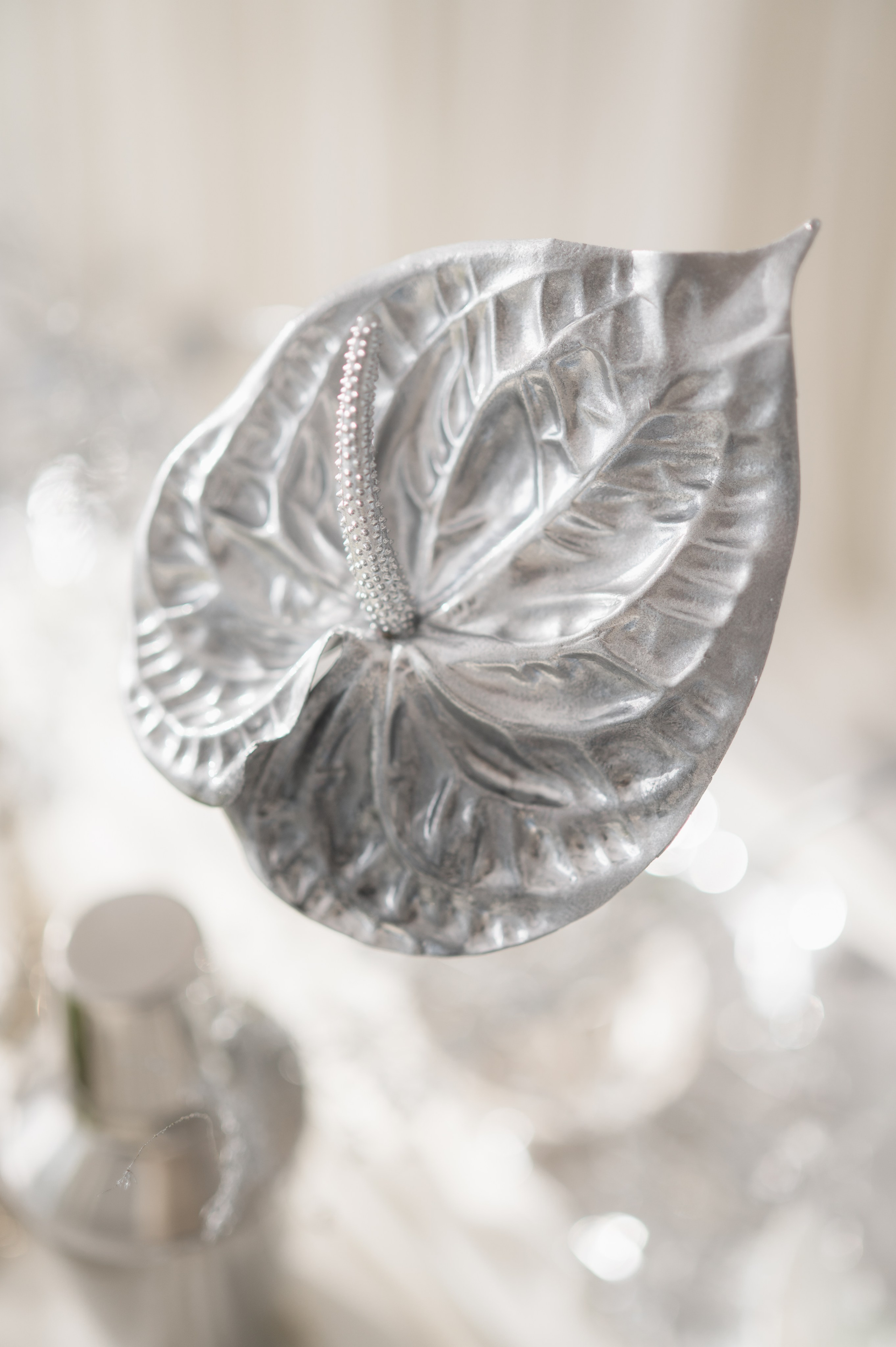 Bride with a concept silver Chrome. Alexandra Hanu Photographer