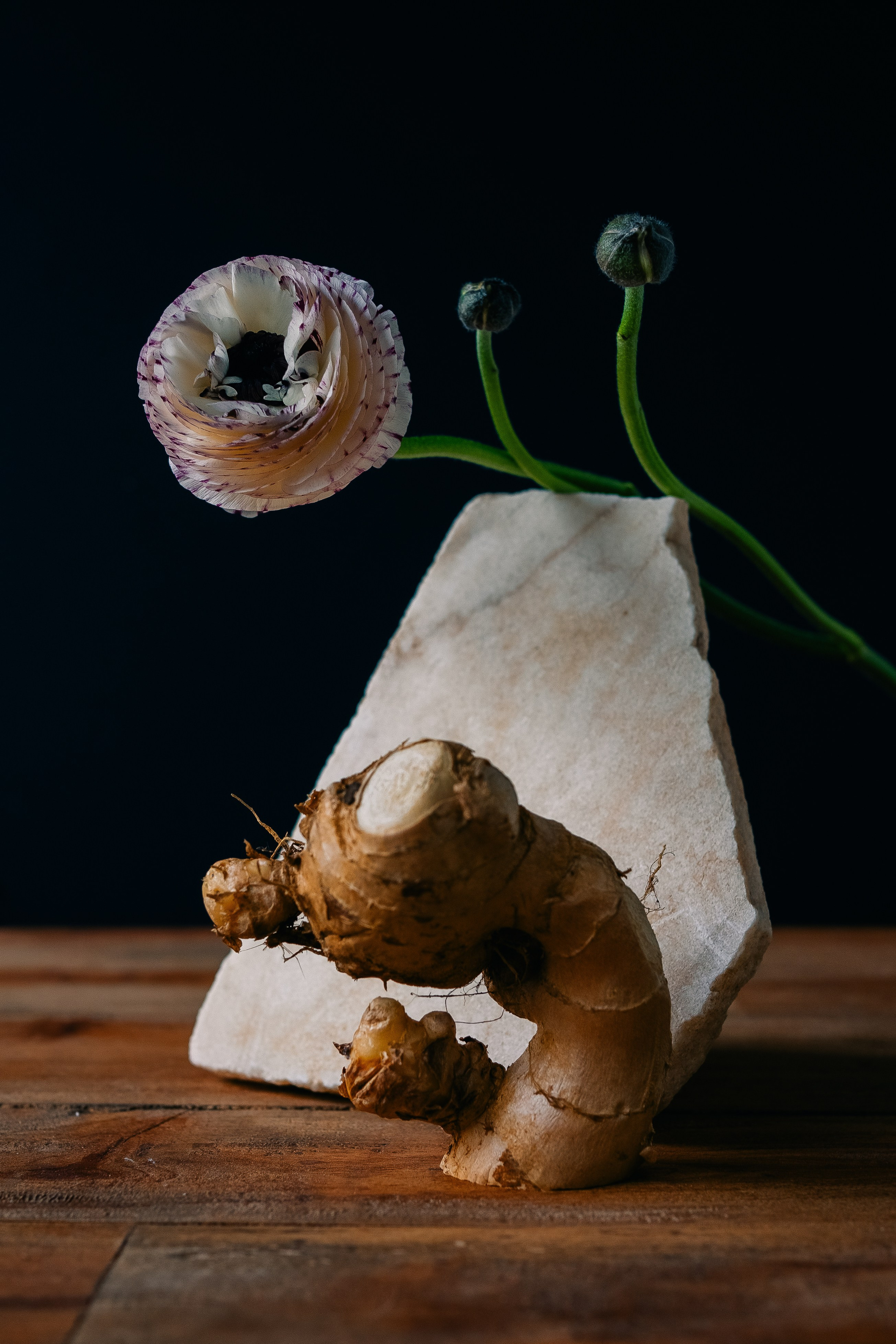 Flower & ginger. Maria Sher. Professional photographer from Porto, Portugal