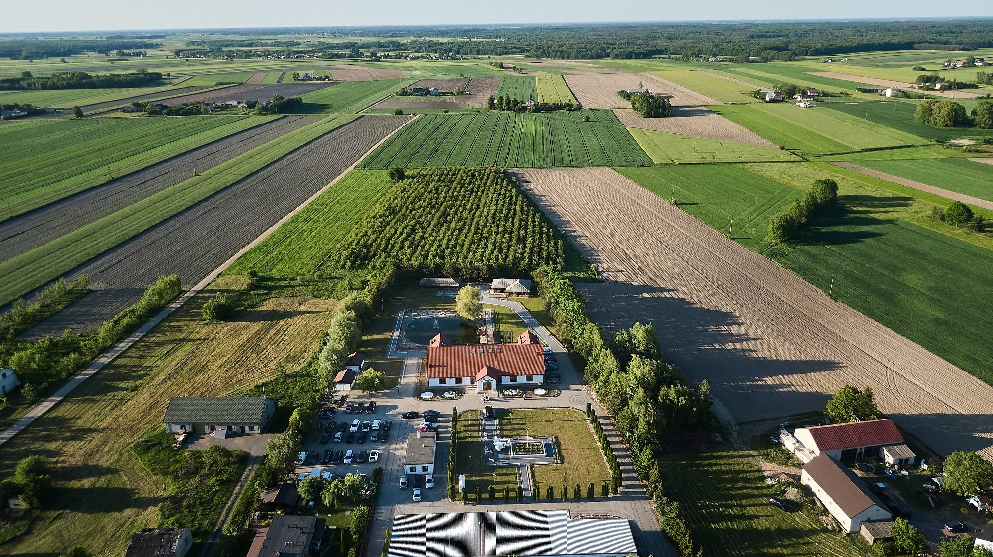 Weronika i Maciek. Foto i Wideo Ślubne Siedlce | Zapisane Historie – Warszawa, Lublin