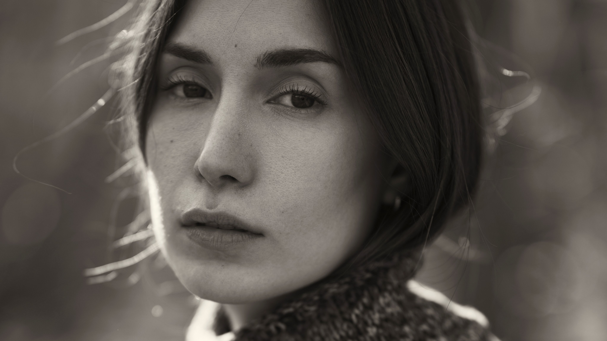 Alireza Sahebi Photographer