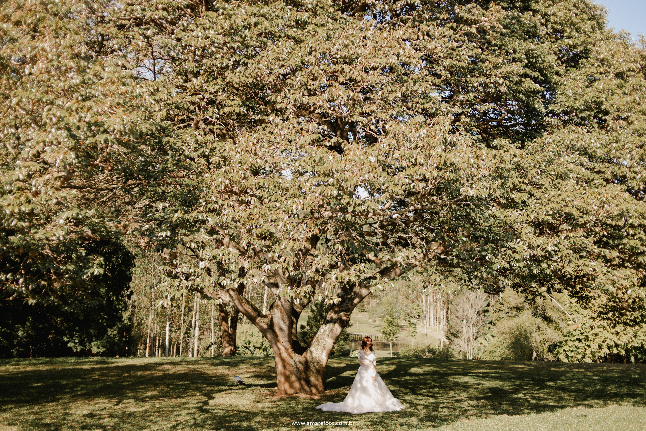 Editorial — Estância Jatobá