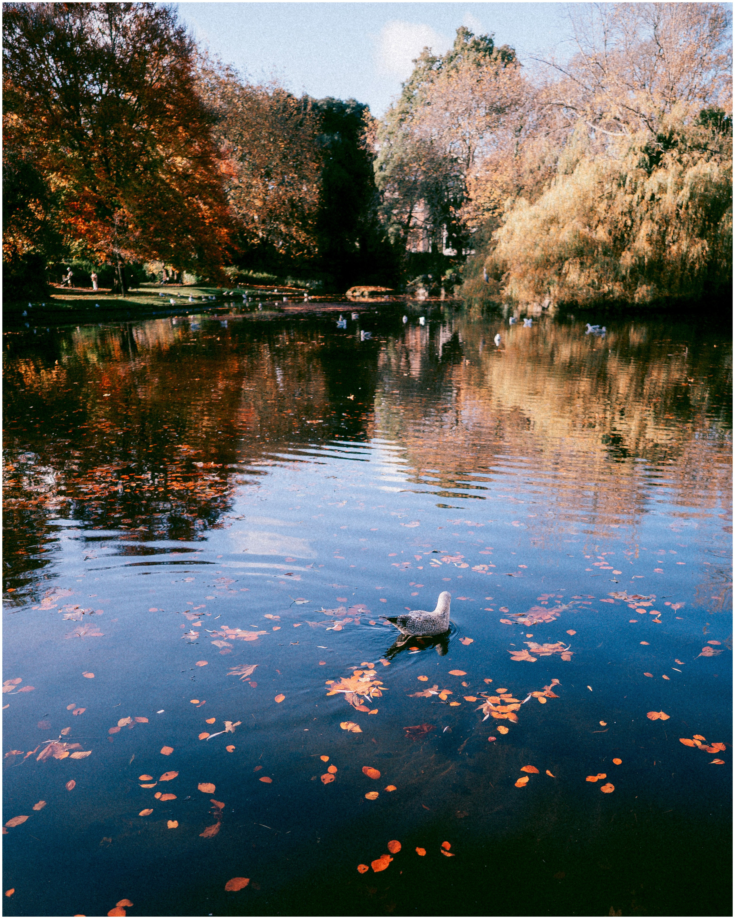 IRELAND. Inna Mendelson — Photographer