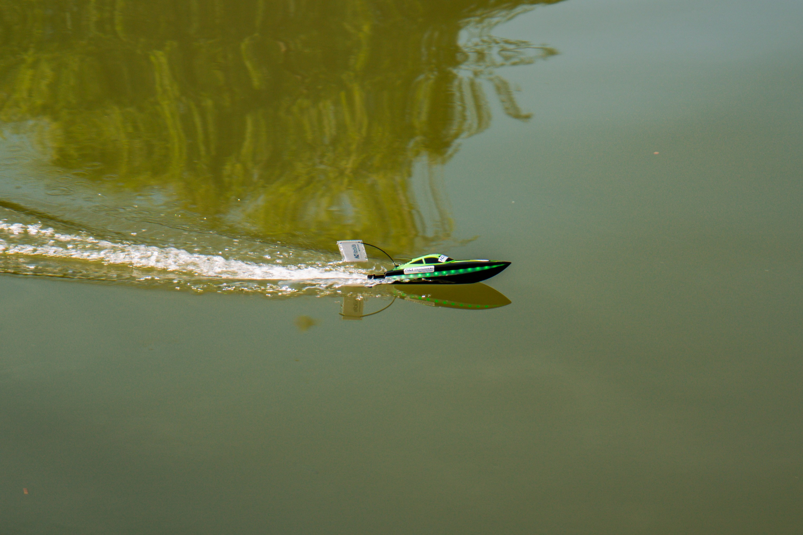 06.04 Bega Boat Race. Cozac Cristian Photographer