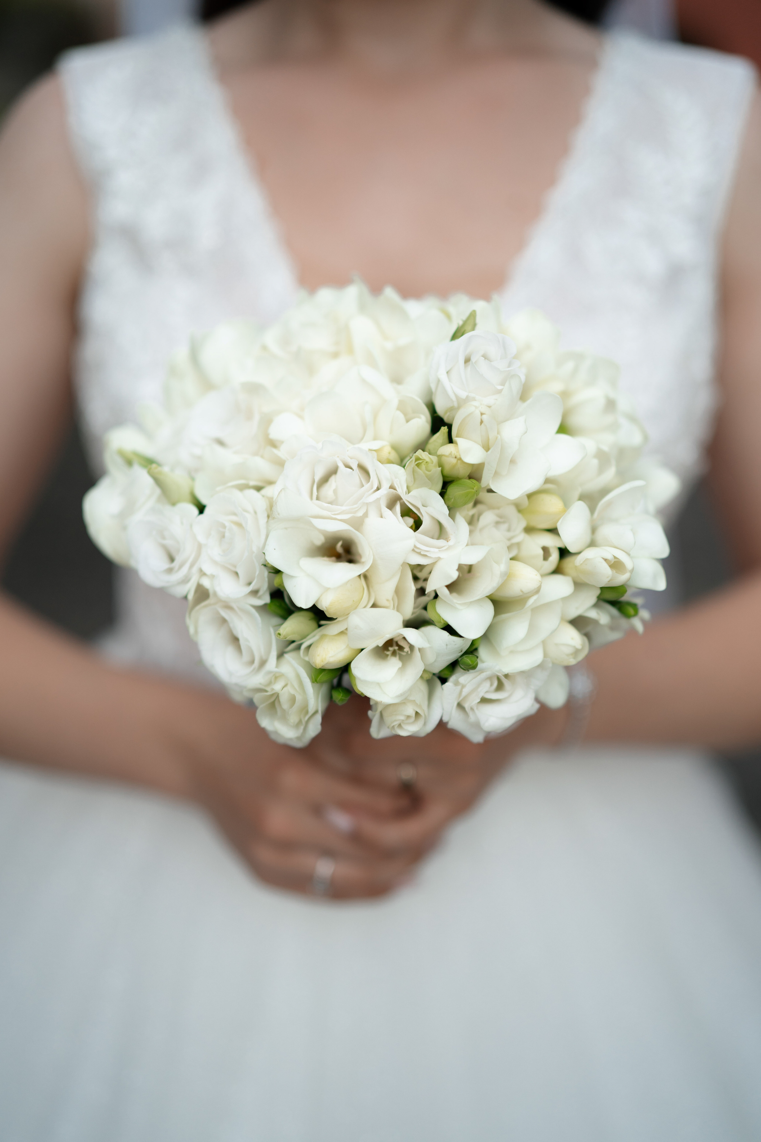 Eduard & Teodora. Studio Timis