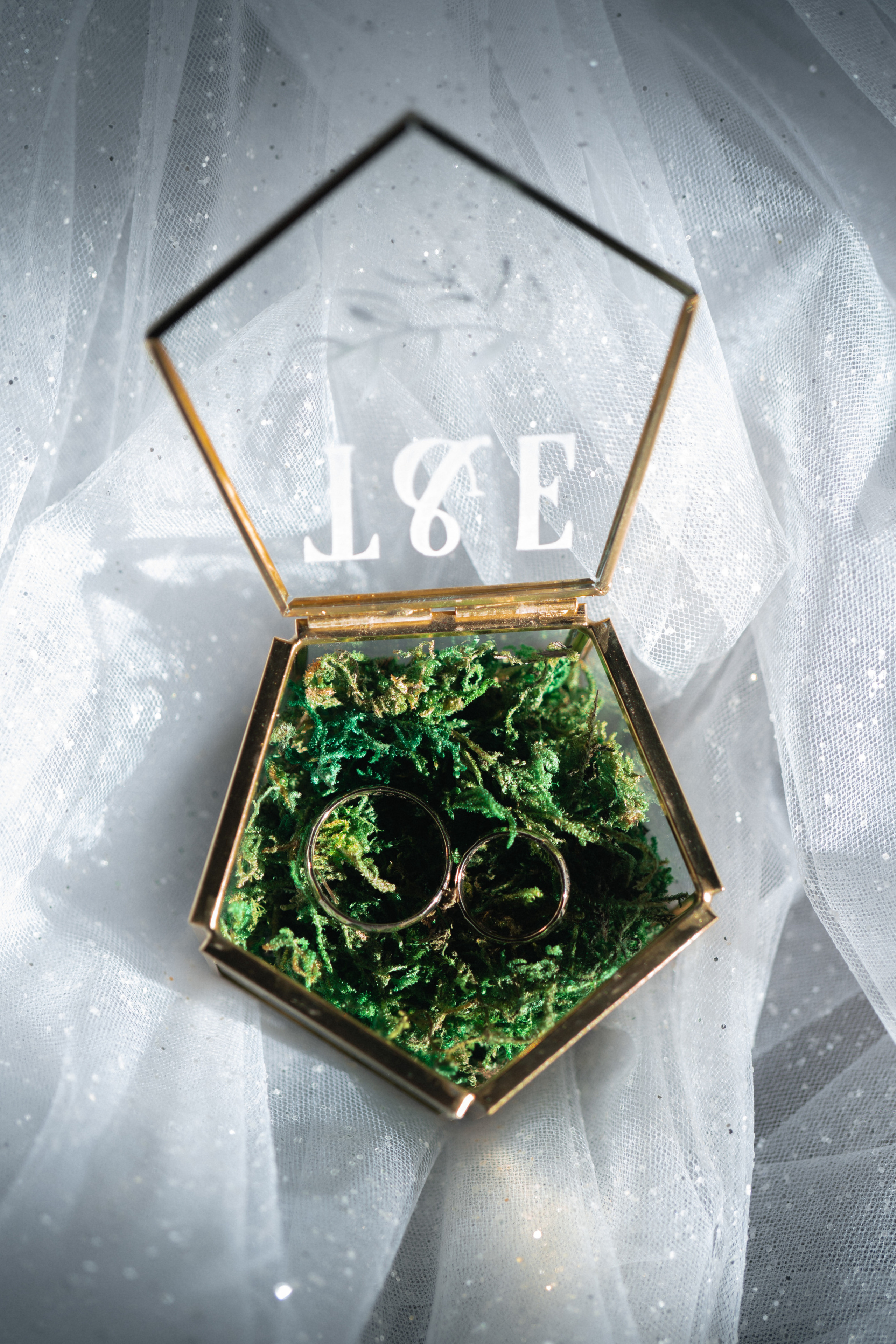 Eduard & Teodora. Studio Timis