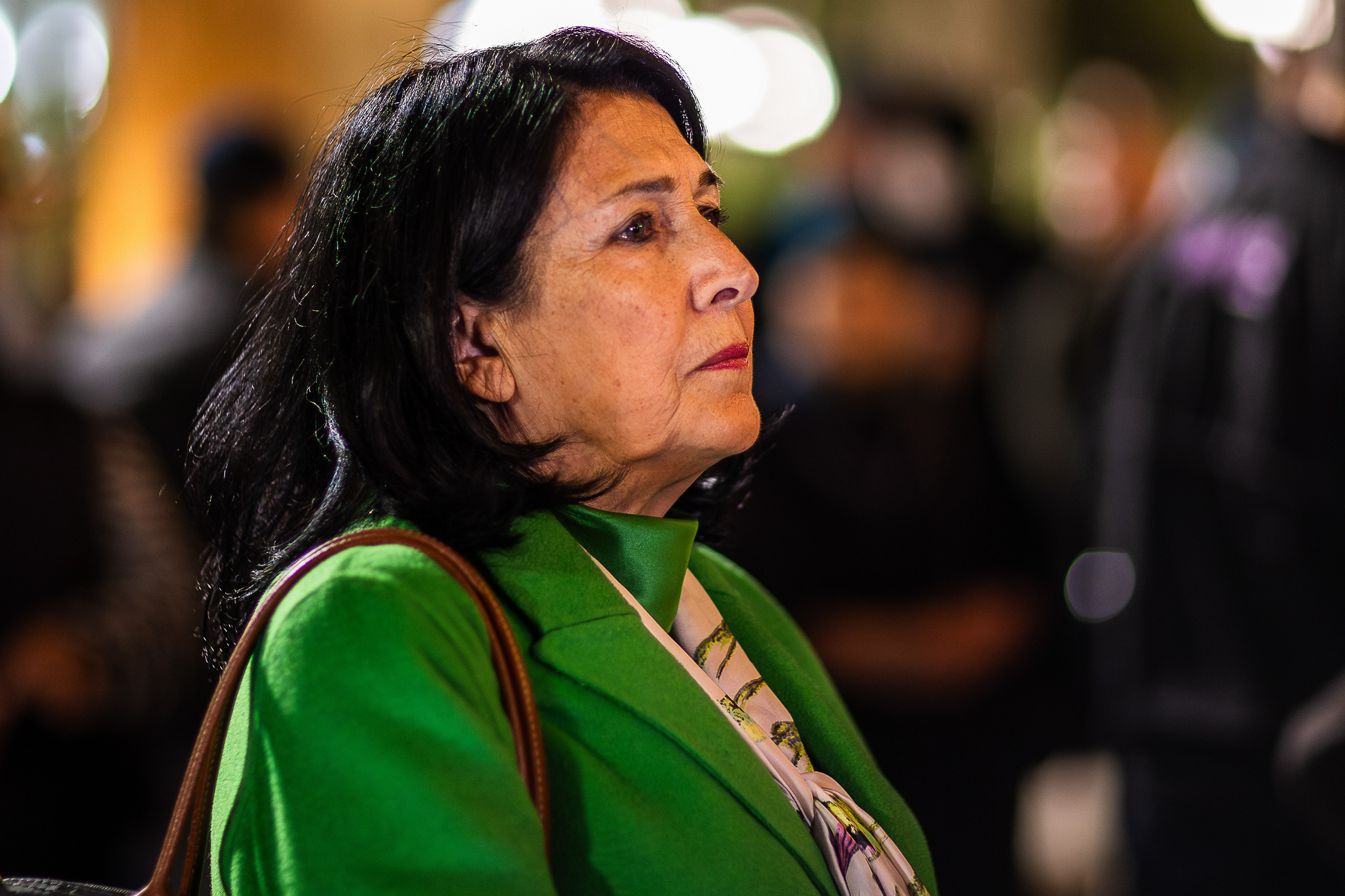 Georgia at a Crossroads: 200 Days of Protest for Democracy and Europe. Ilya Vaga