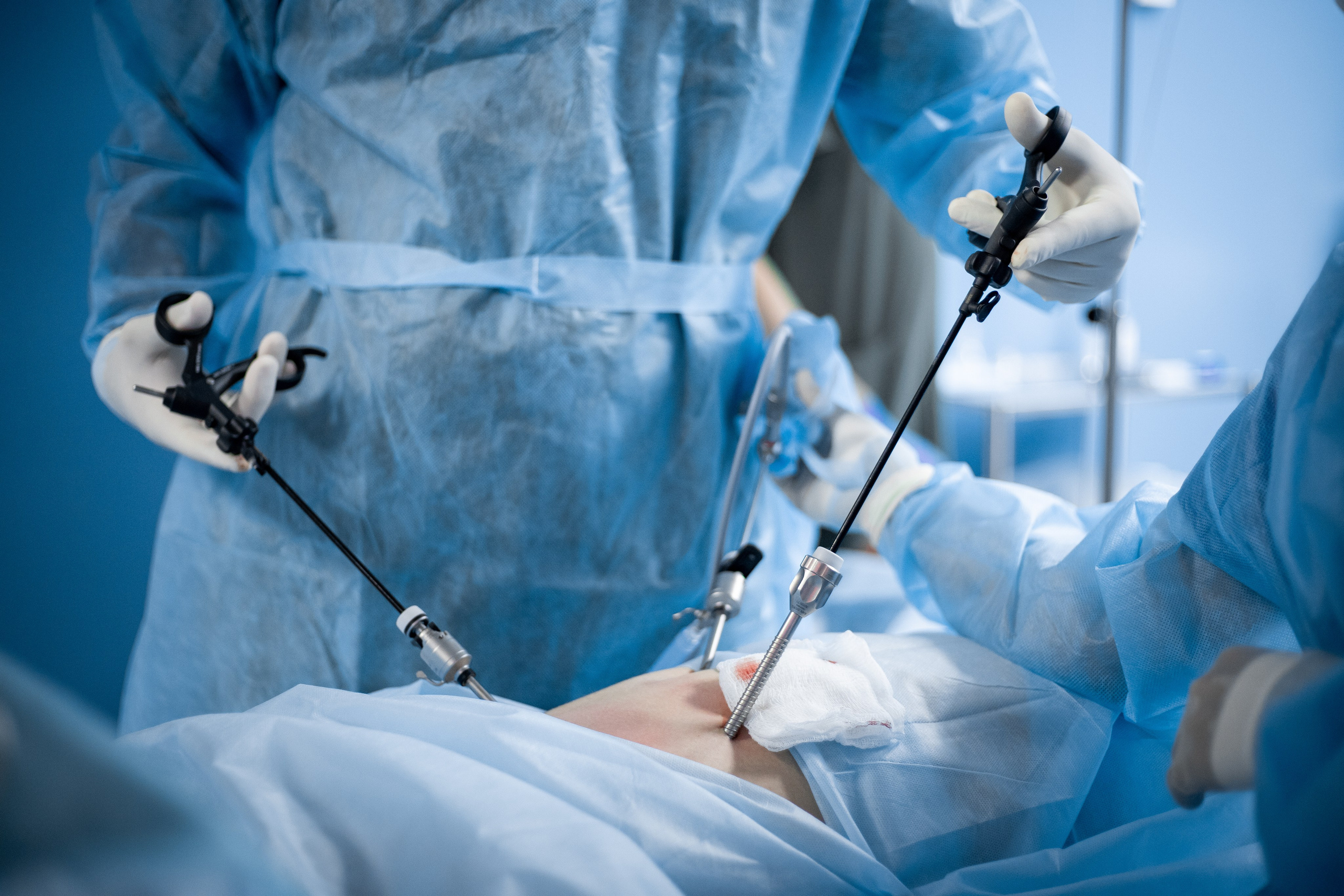 Business. Portrait and family photographer in Fort Collins Dania Gaisina