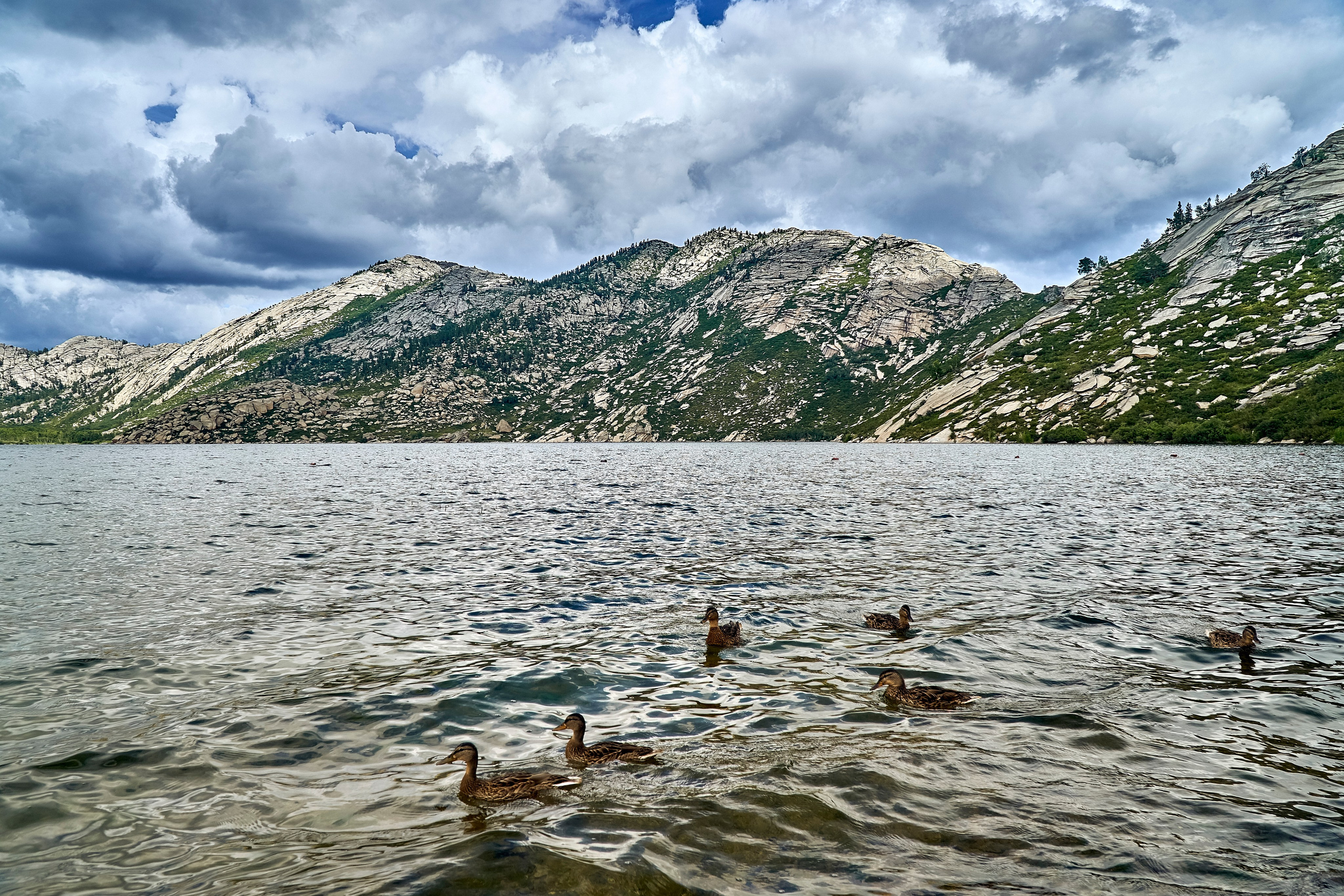 Сибины. Андрей Шипилов — Фотография & Видеография