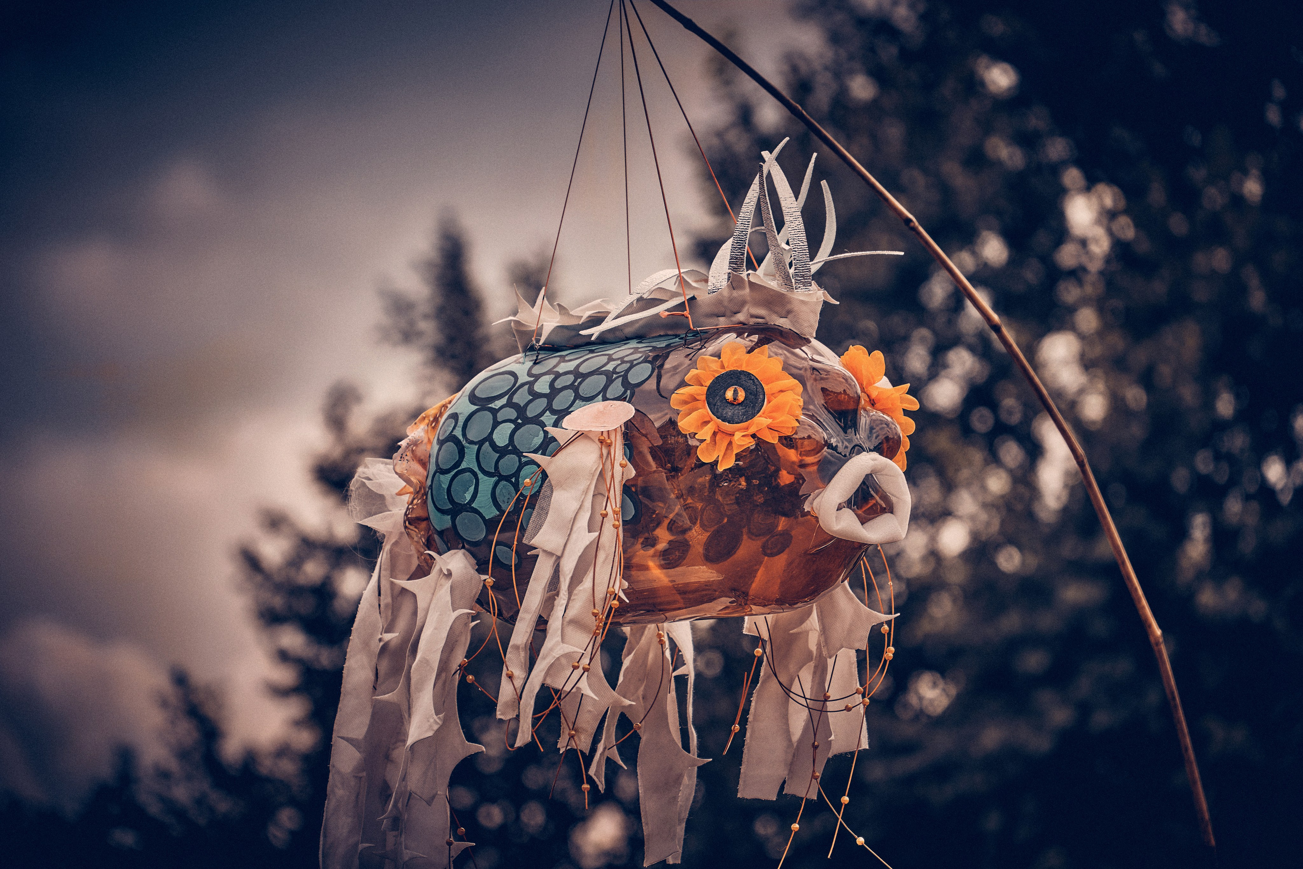 Organic Festival 2024. Андрей Шипилов — Фотография & Видеография