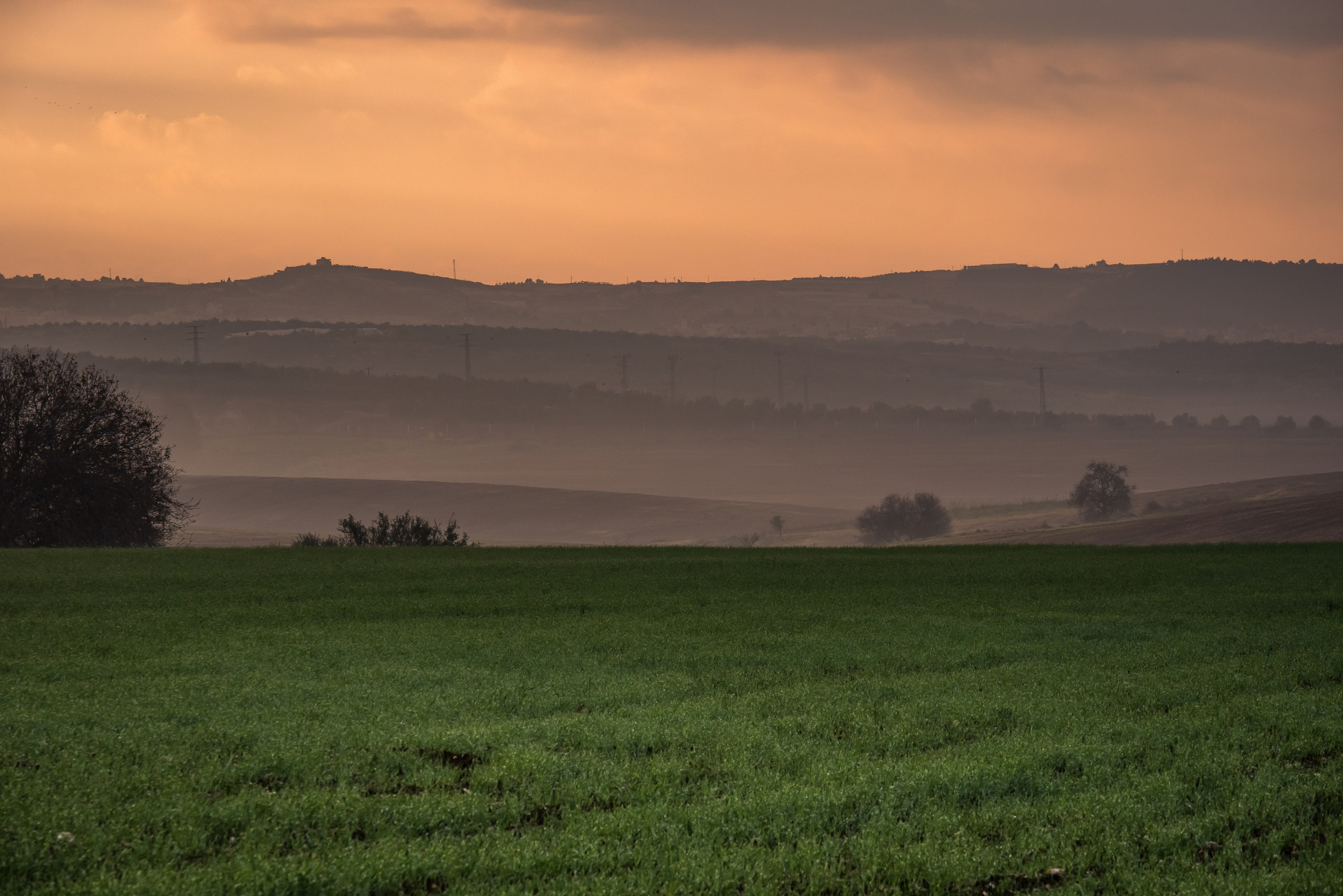 Fine Art Print. Portrait & Event photographer in Israel — Rebecca Kowalsky