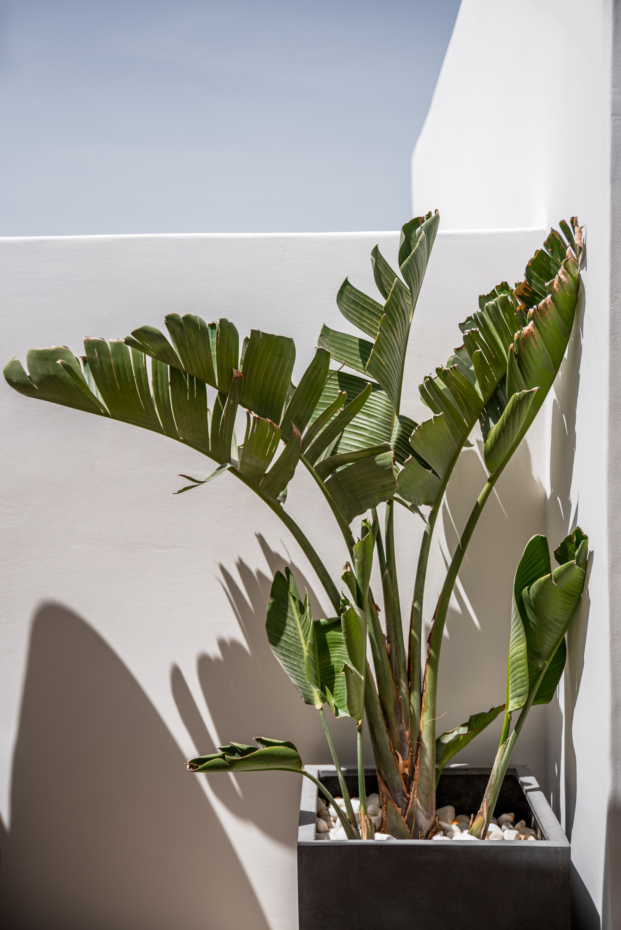 Boutique Hotel & Lifestyle ~ Numi Mykonos. Hotel Photographer Greece | George Katsaelis | sketch.gr