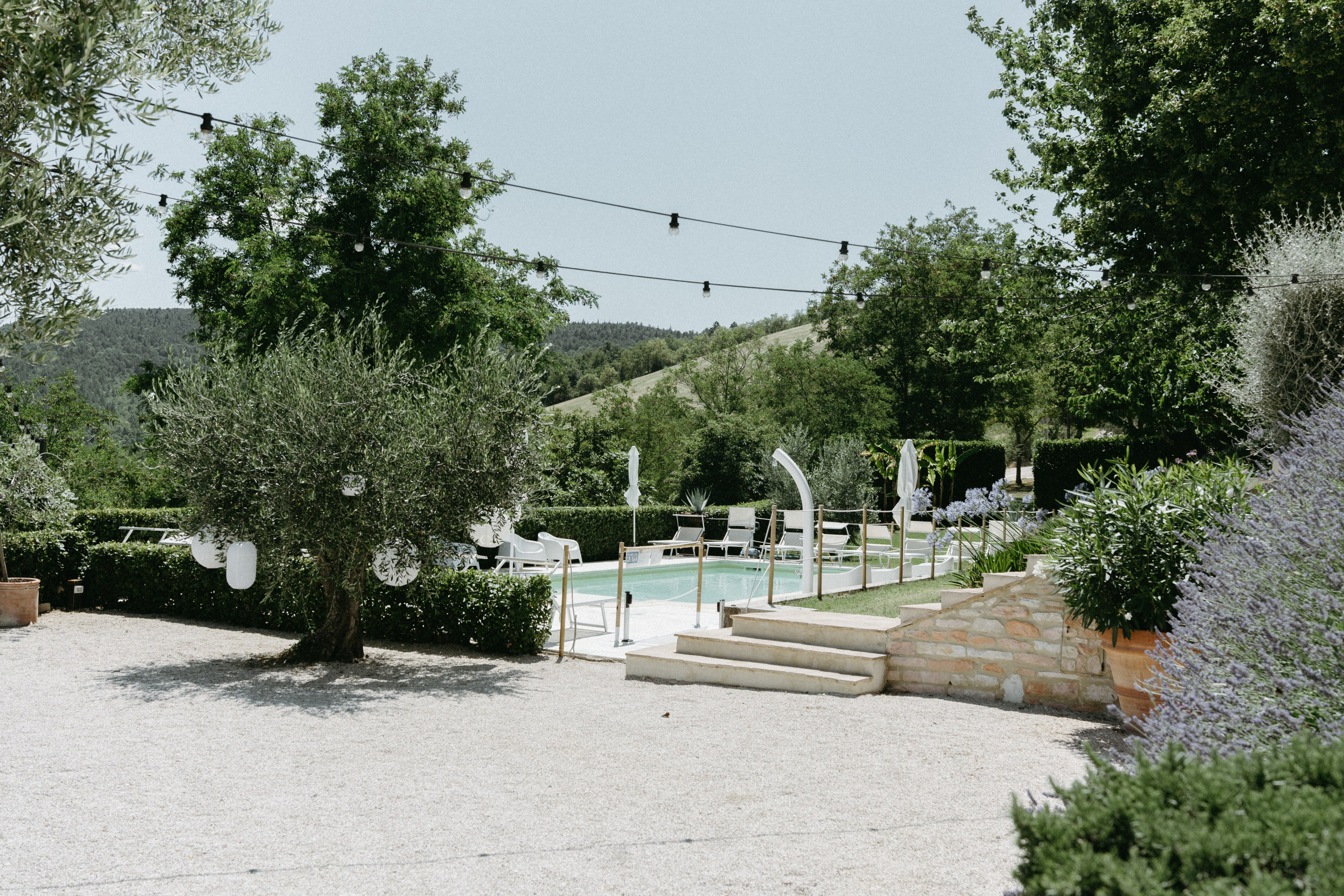 Sofia&Falk. Весільний фотограф Вікторія Саврук