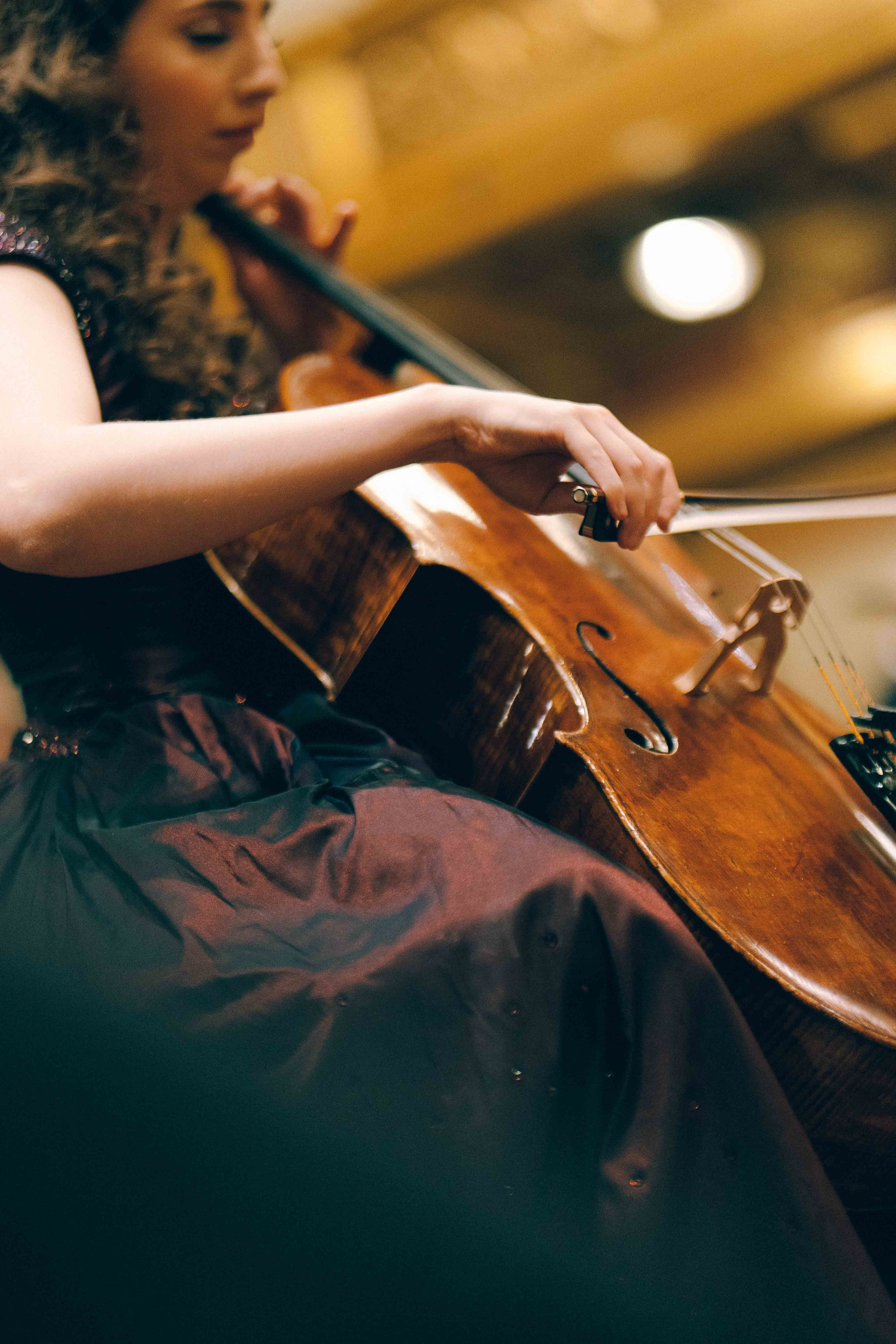 MUSIKVEREIN (VIENNA). Wedding&Event photographer Ismail Rzayev in Baku