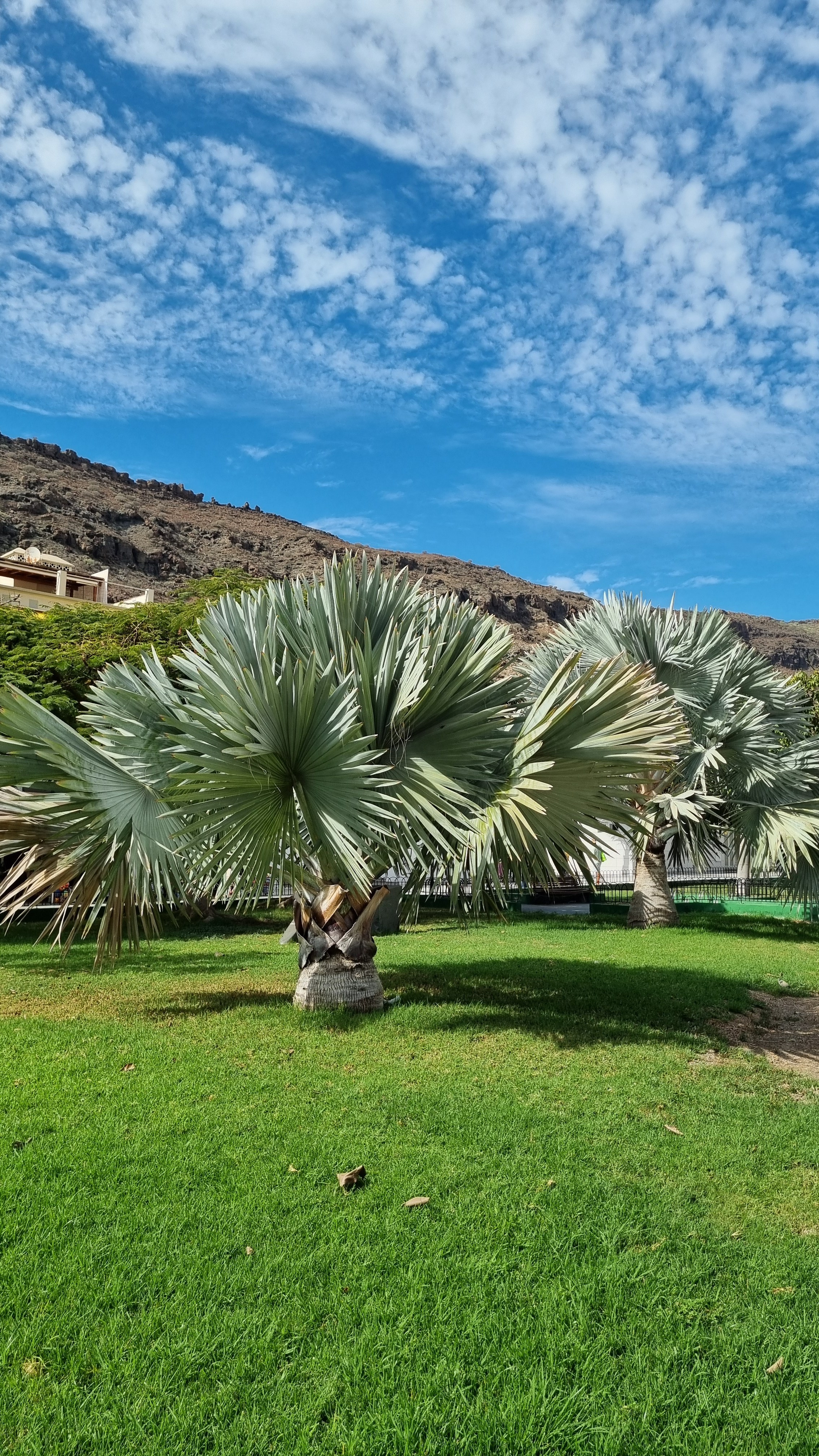Gran Canaria 2024. Марина фотограф из Нюрнберга