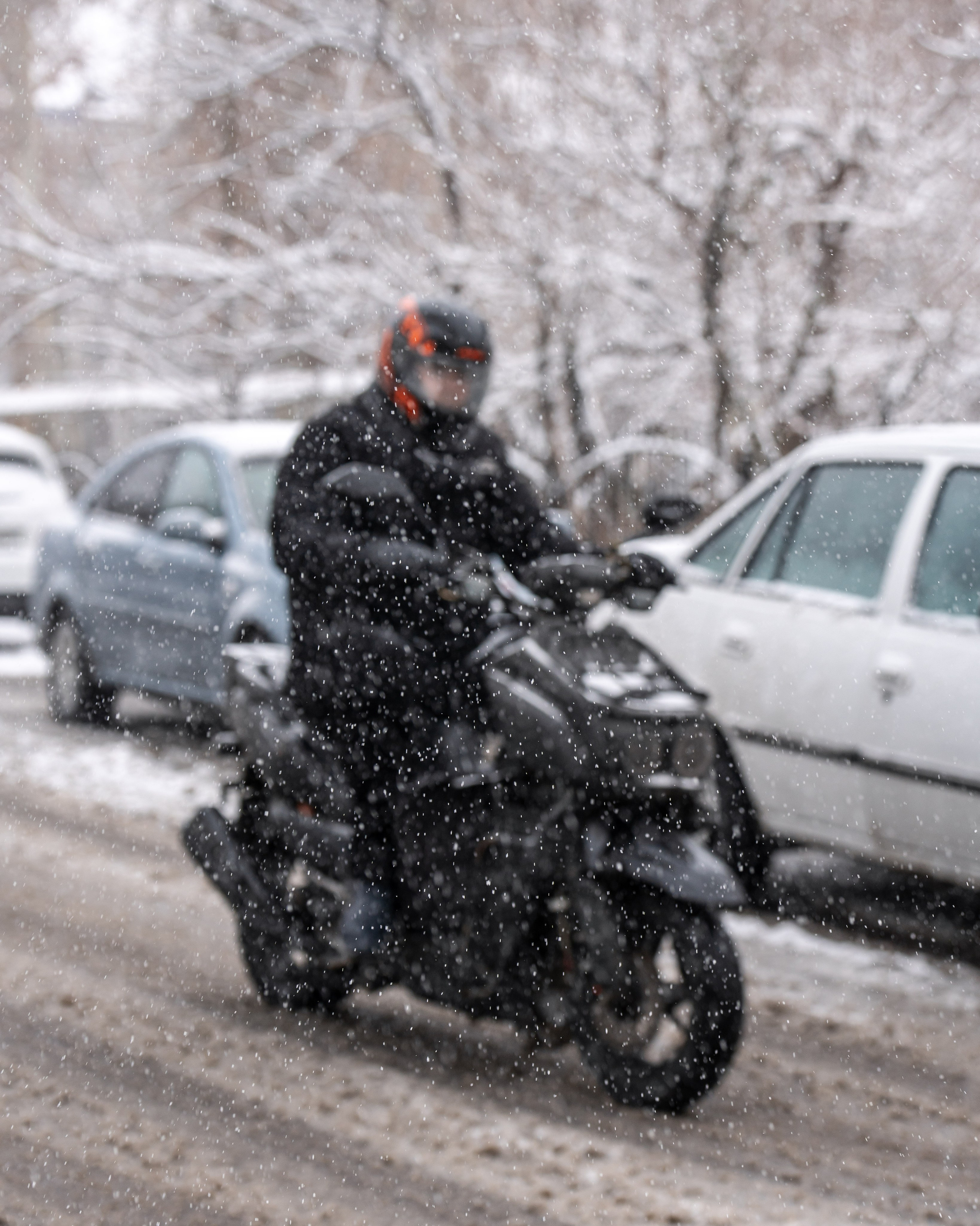 Снег. Георгий Намазов | Фотограф в Ташкенте
