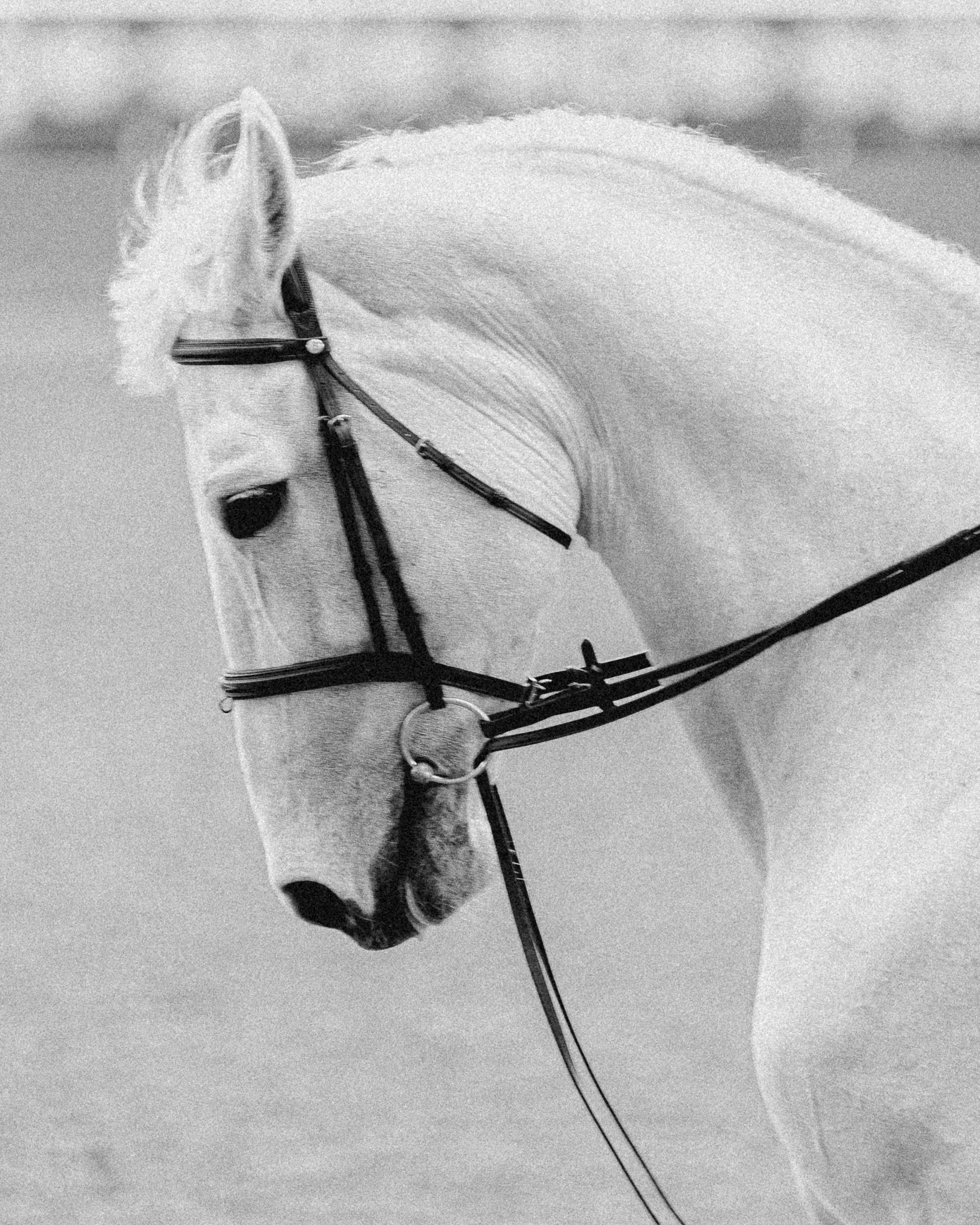 Antoine Ermann. Regina Turbin — official website