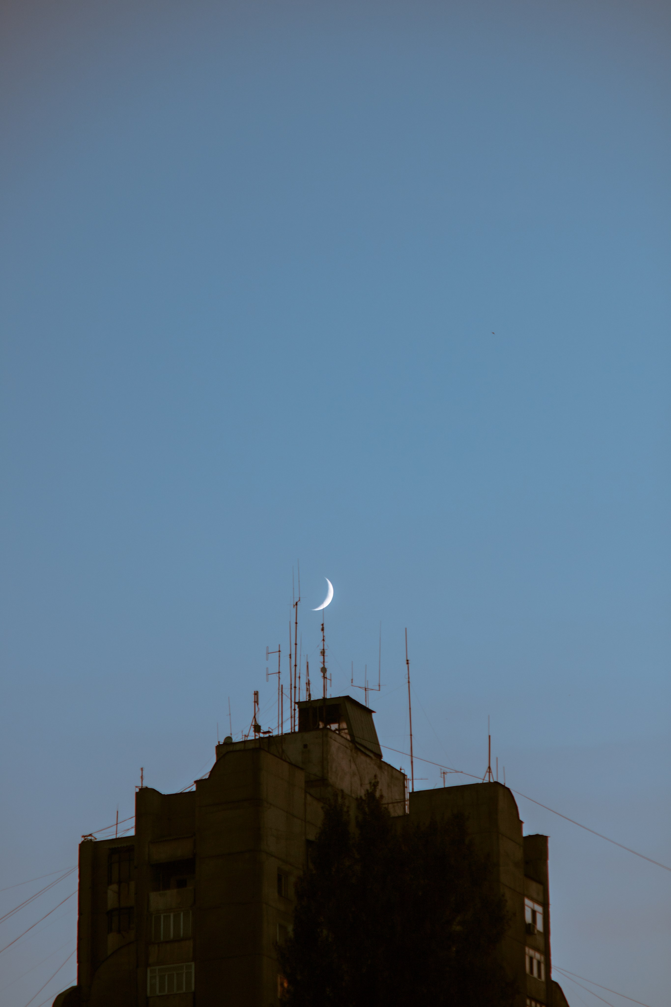 Street. The Photographer