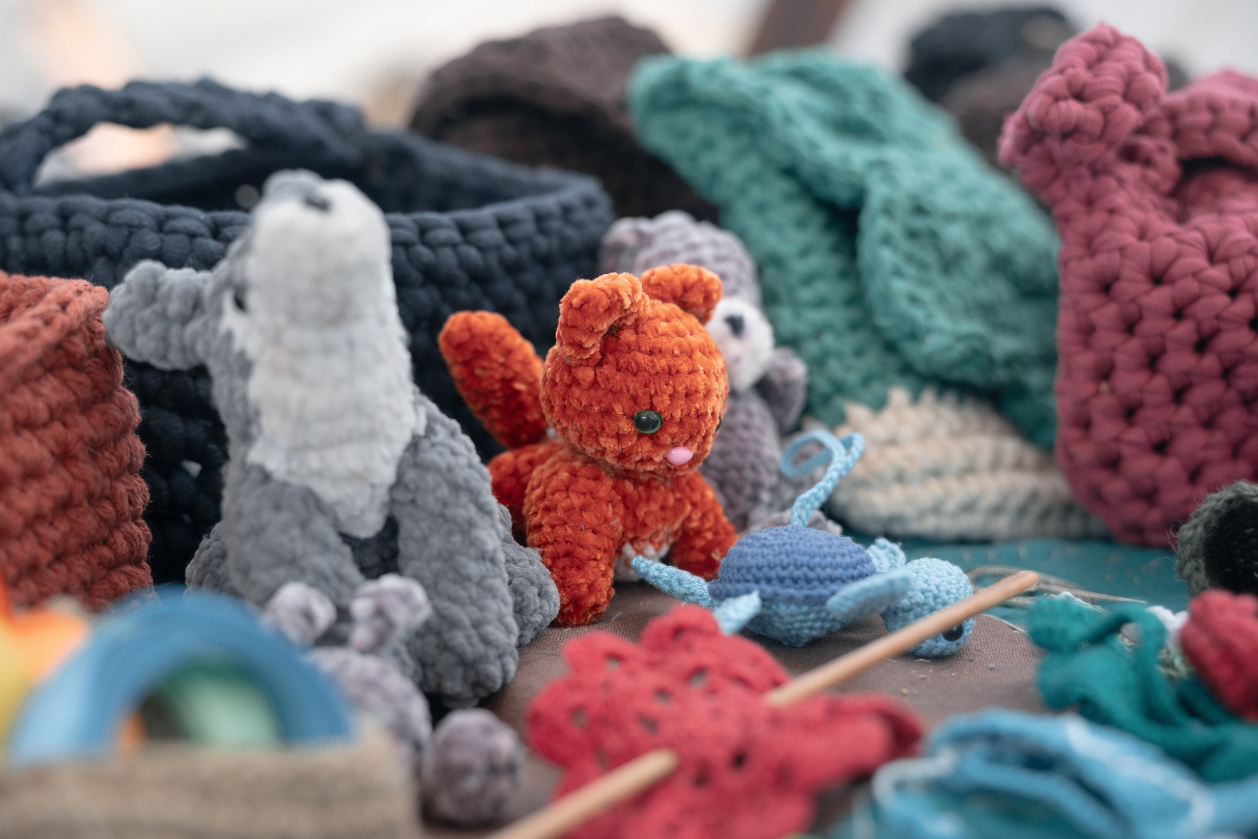 Мини-фестиваль клуба «Нортман» в Беэр-Шеве — 17 января 2025 | Виккинги в Израиле. КРиС «Нортман»