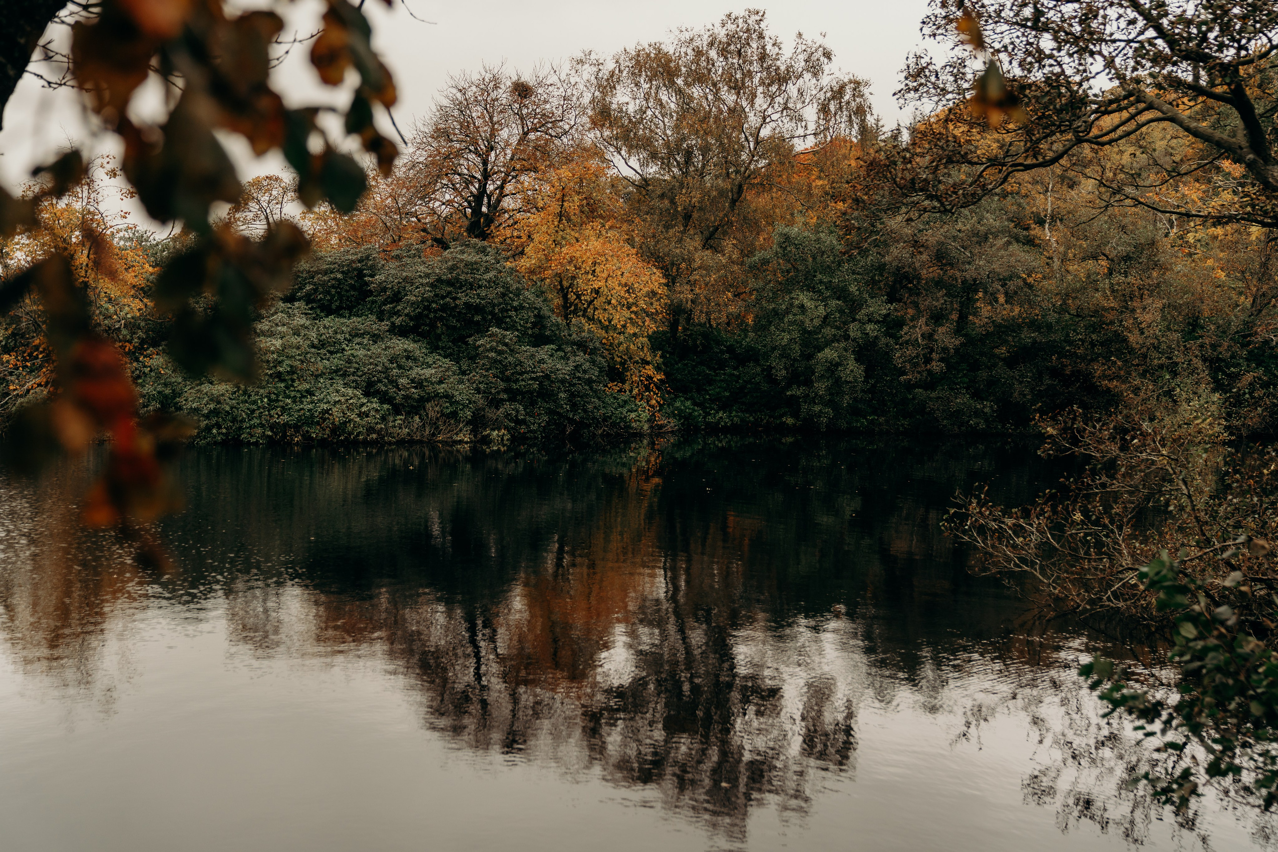 Family lifestyle photographe Northumberland. Newcastle Upon Tyne Photographer Yana Balatskaya