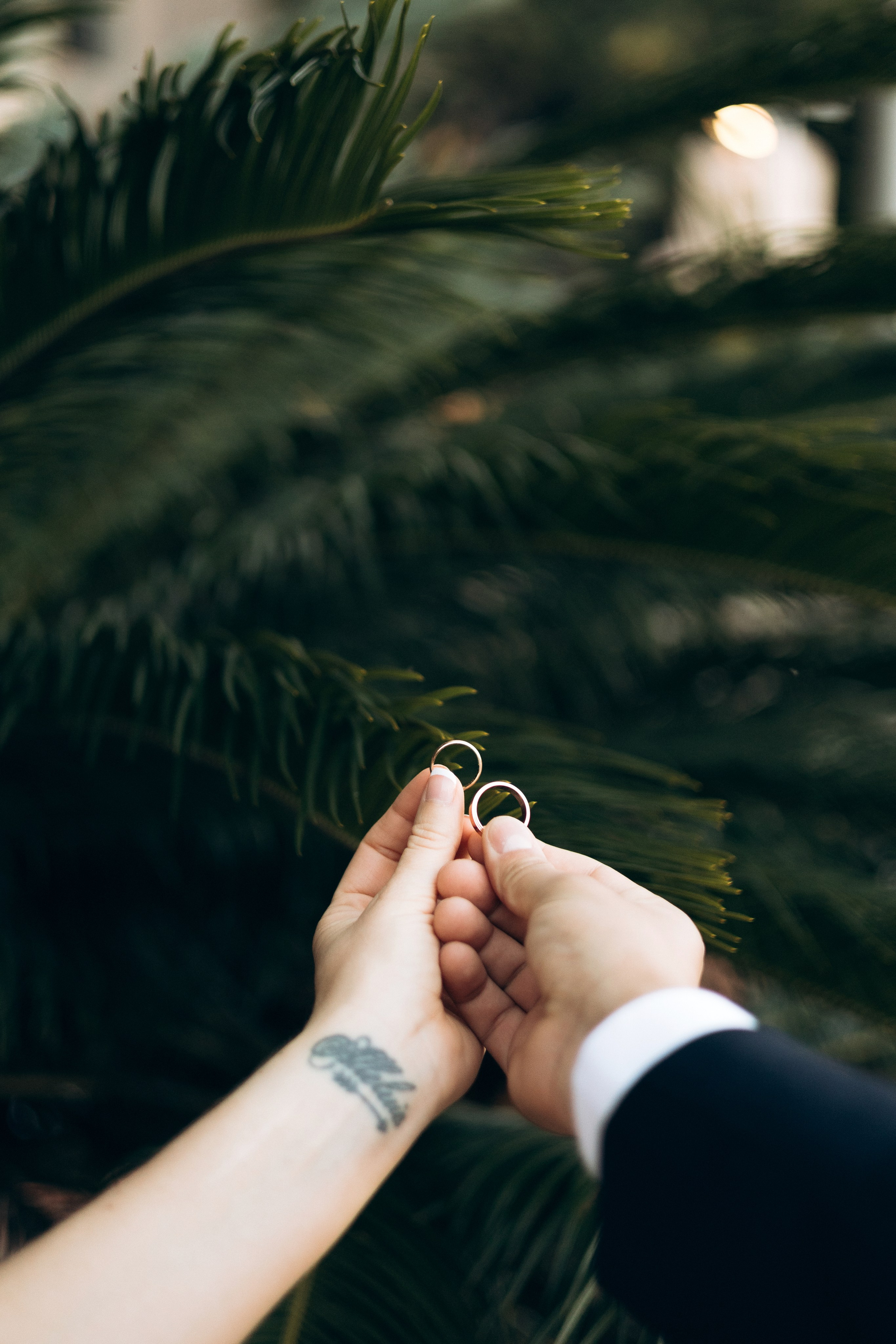 Jessi and Alex. Весільний та сімейний фотограф у Сан-Дієго