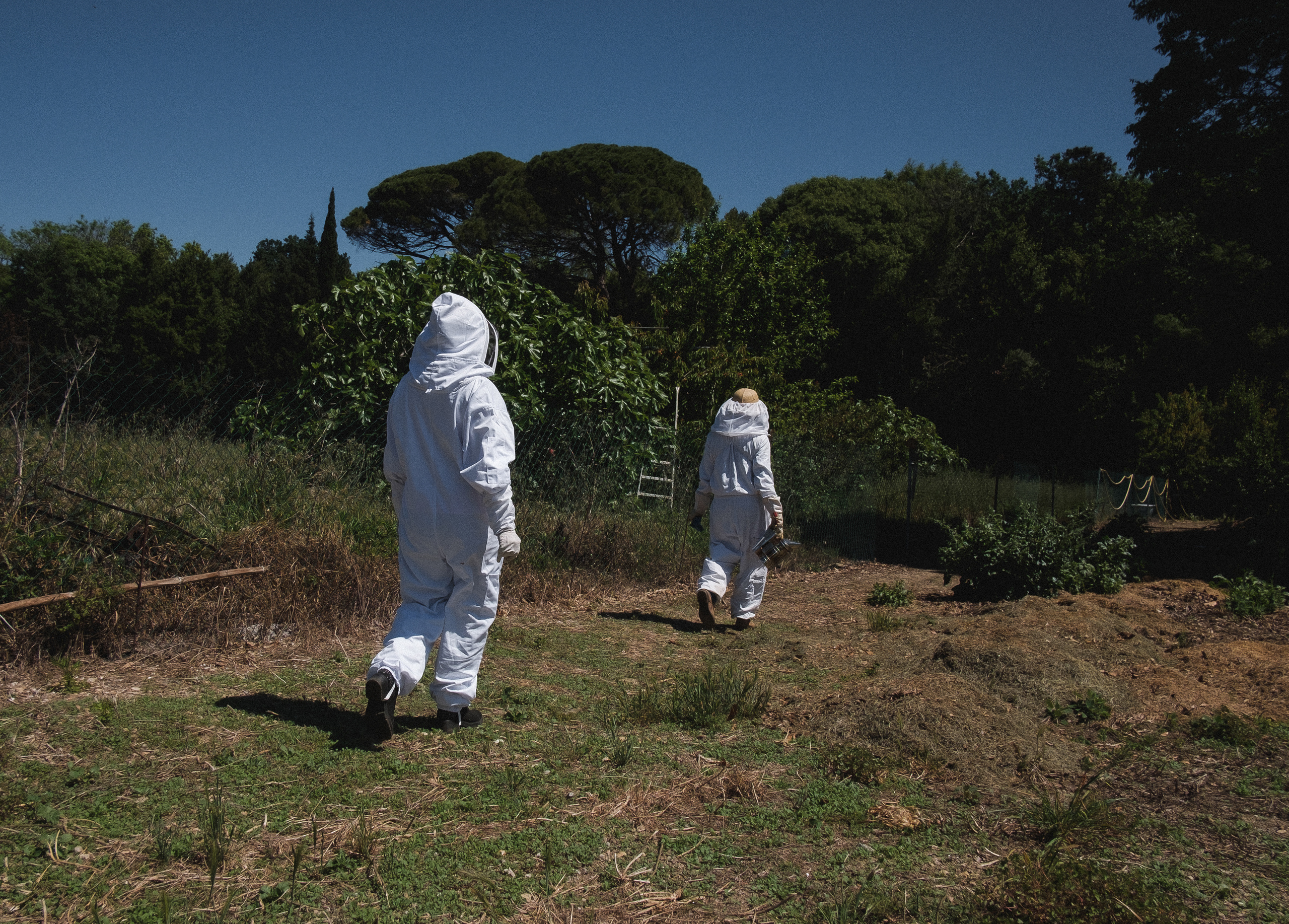 Пасека. Portrait and reportage photographer