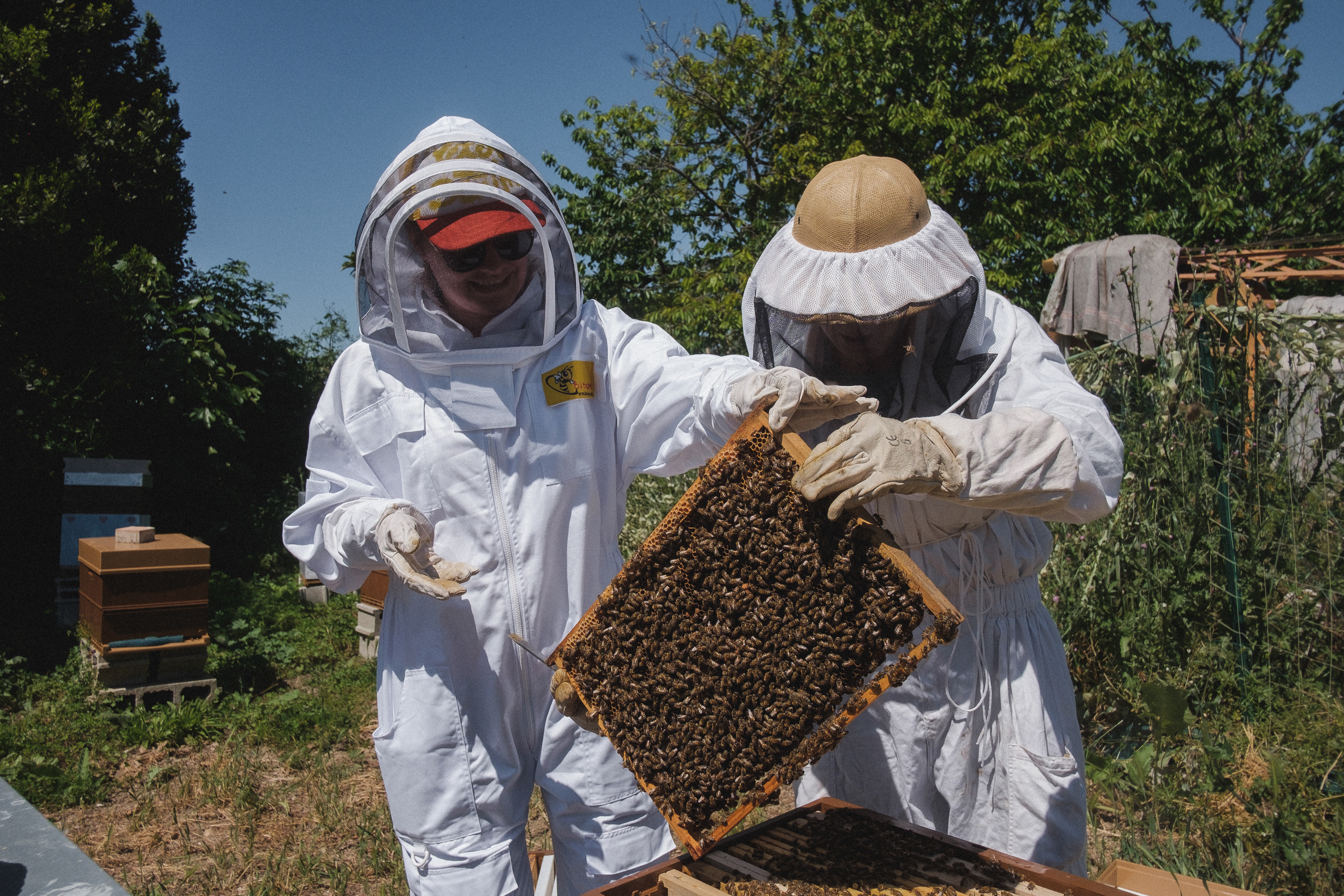 Пасека. Portrait and reportage photographer