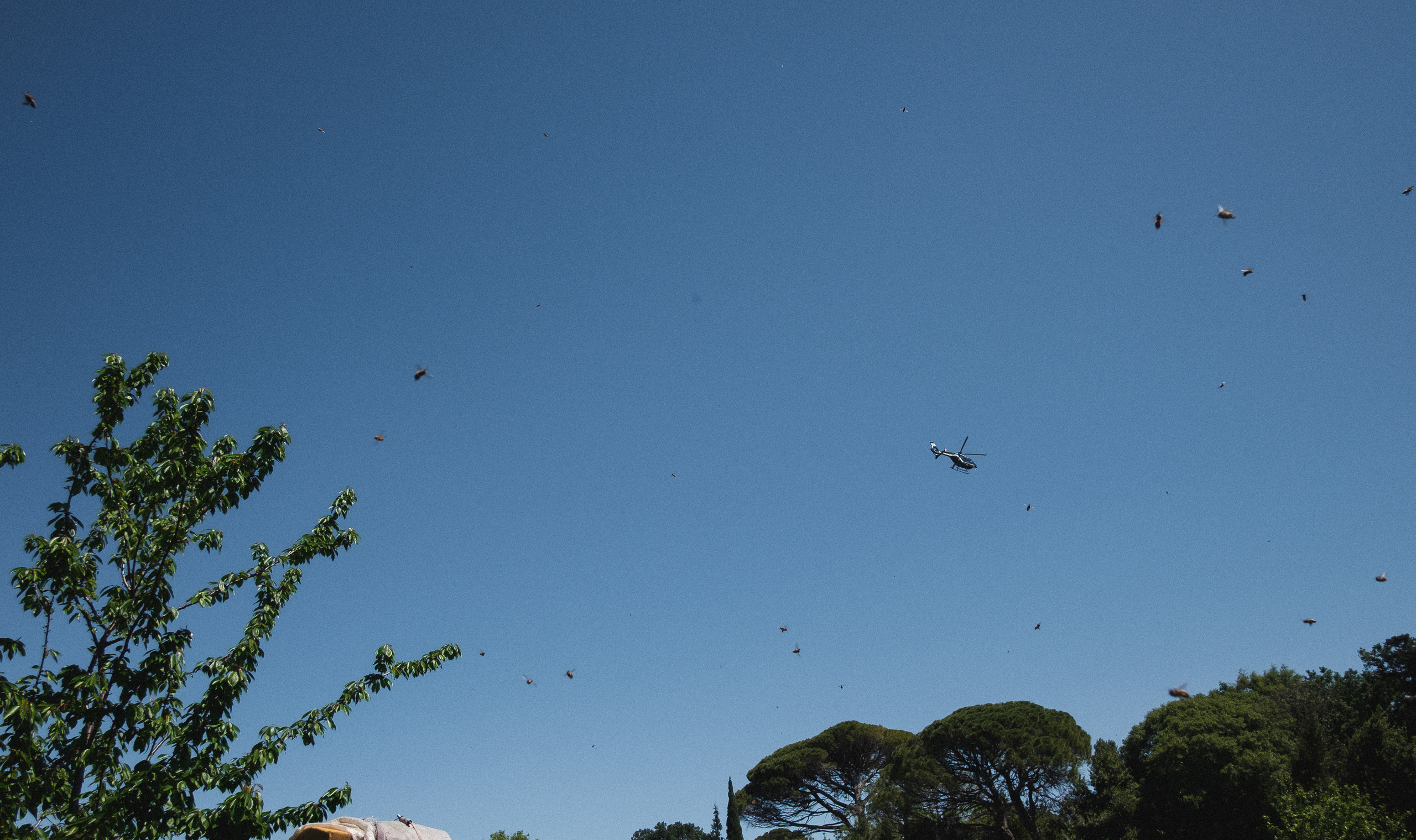 Пасека. Portrait and reportage photographer