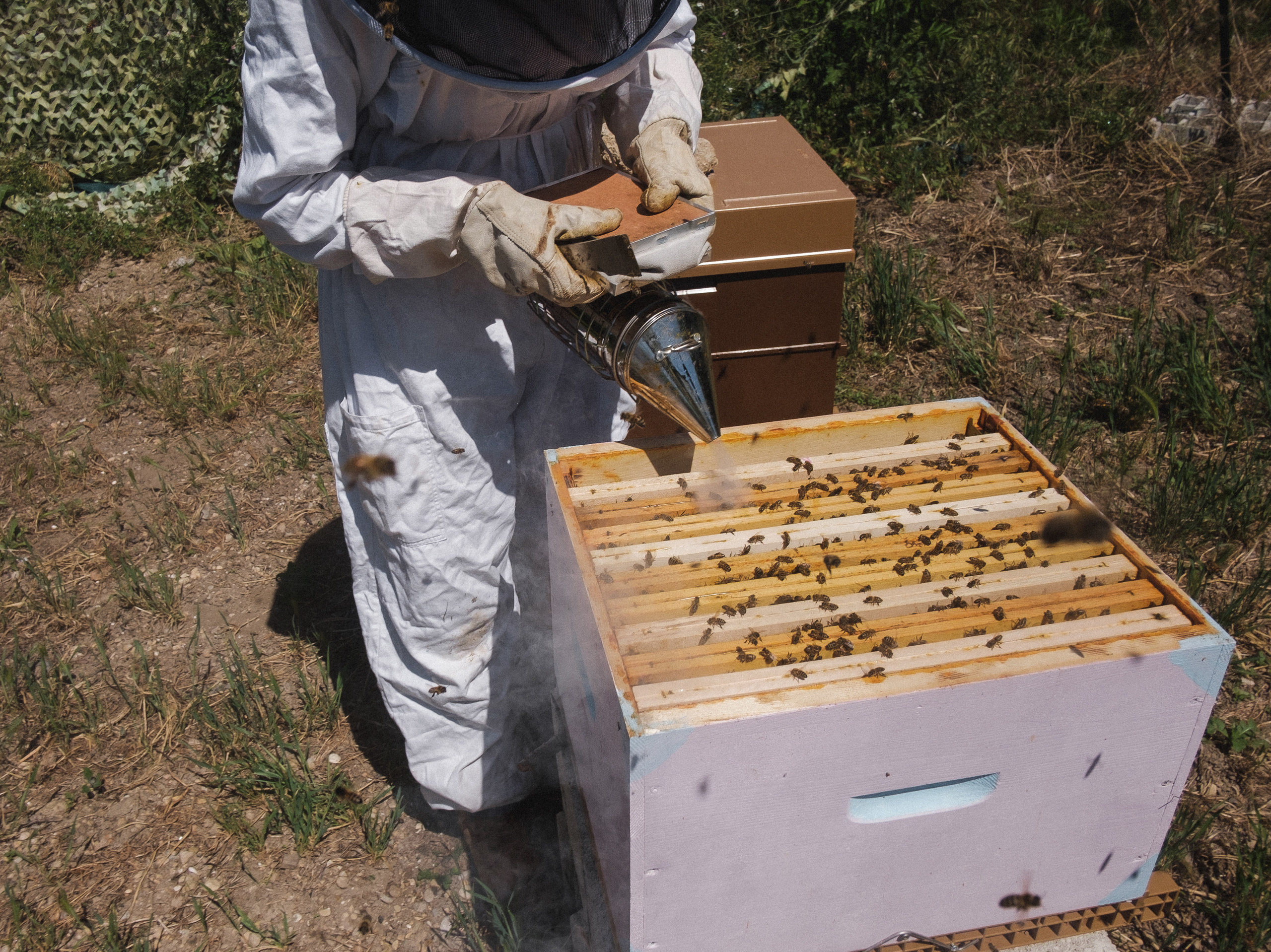 Пасека. Portrait and reportage photographer