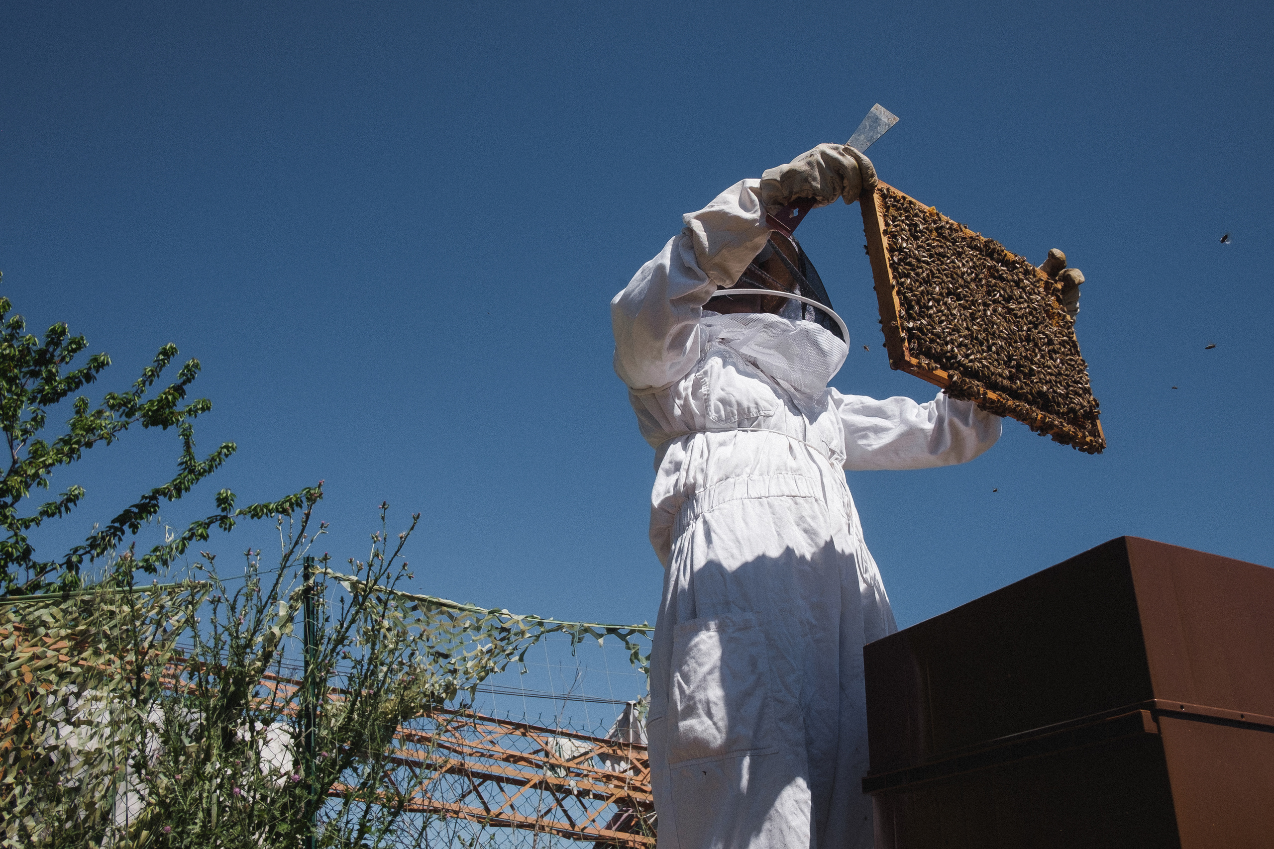 Пасека. Portrait and reportage photographer