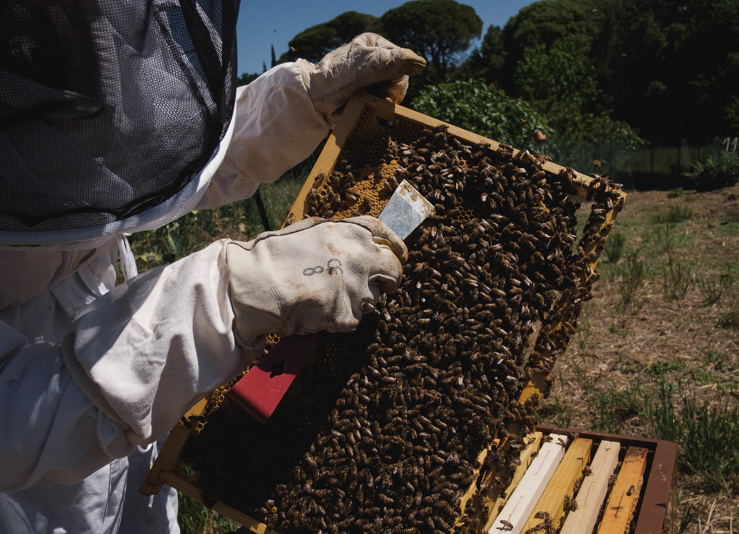 Пасека. Portrait and reportage photographer