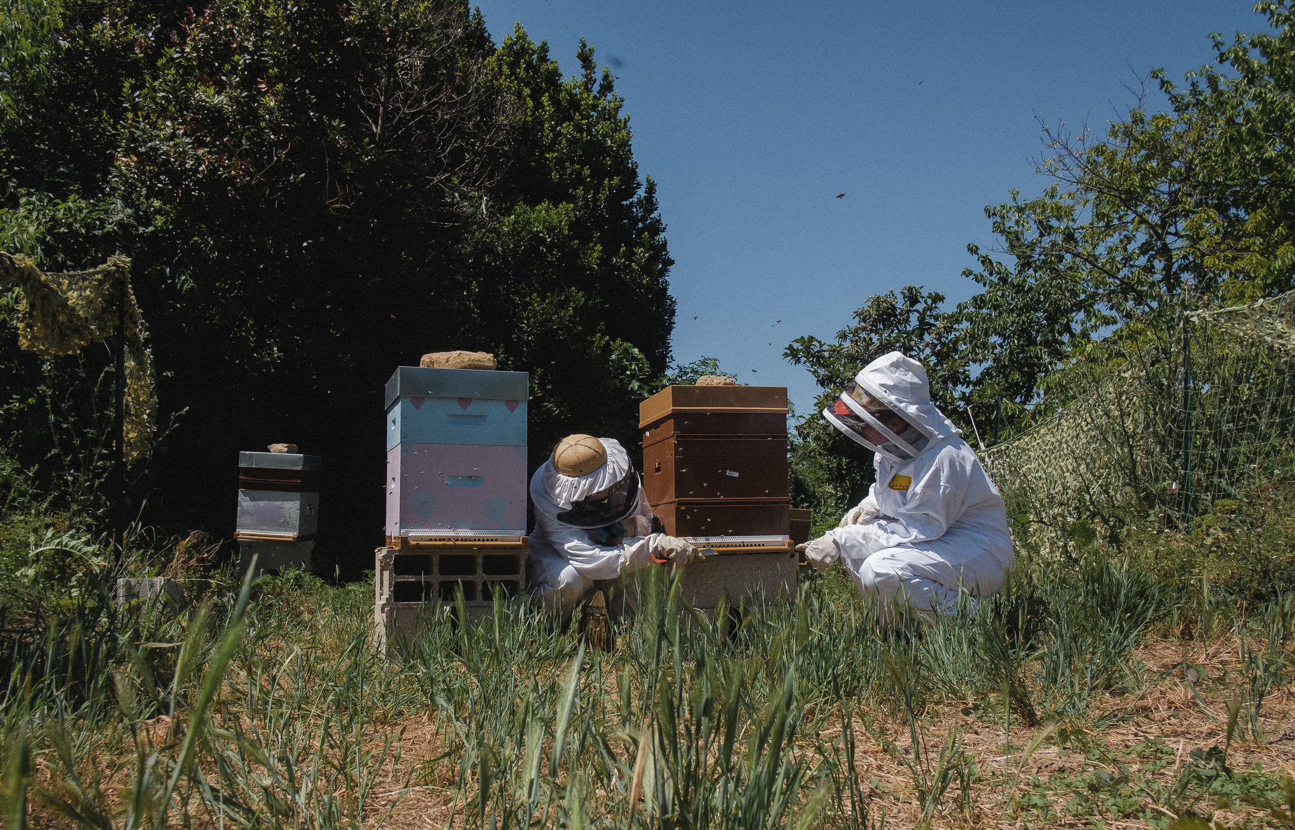 Пасека. Portrait and reportage photographer