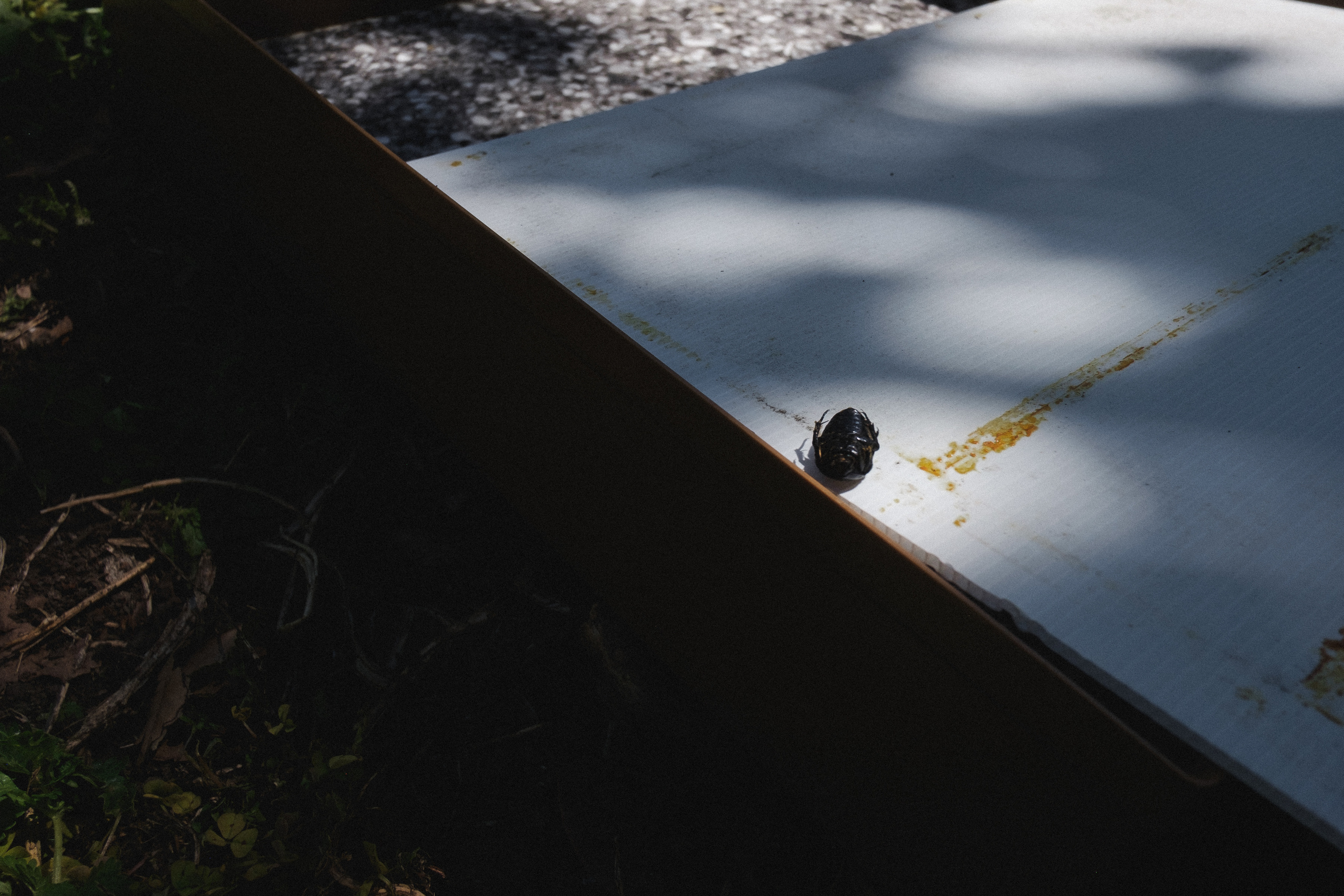 Пасека. Portrait and reportage photographer