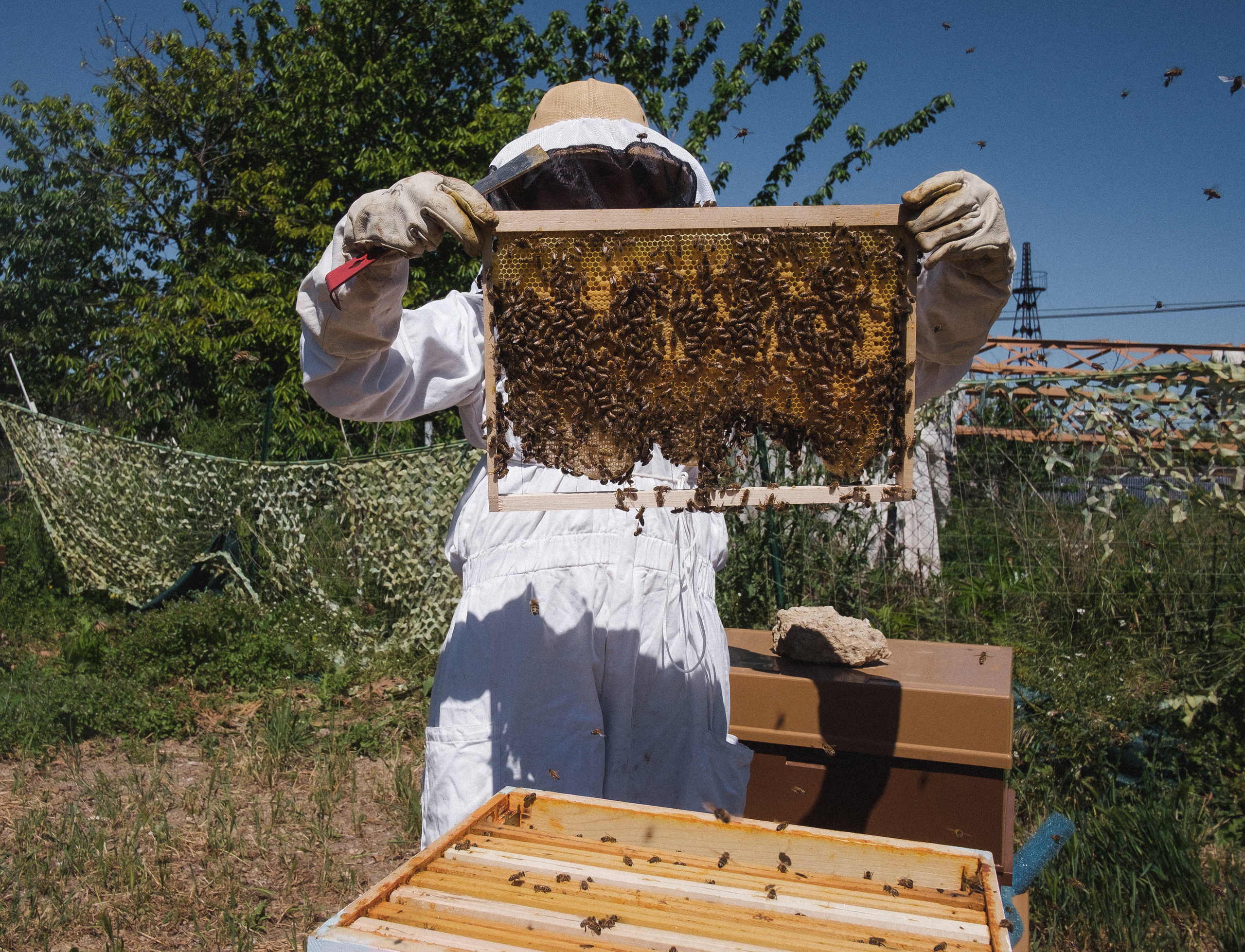 Пасека. Portrait and reportage photographer