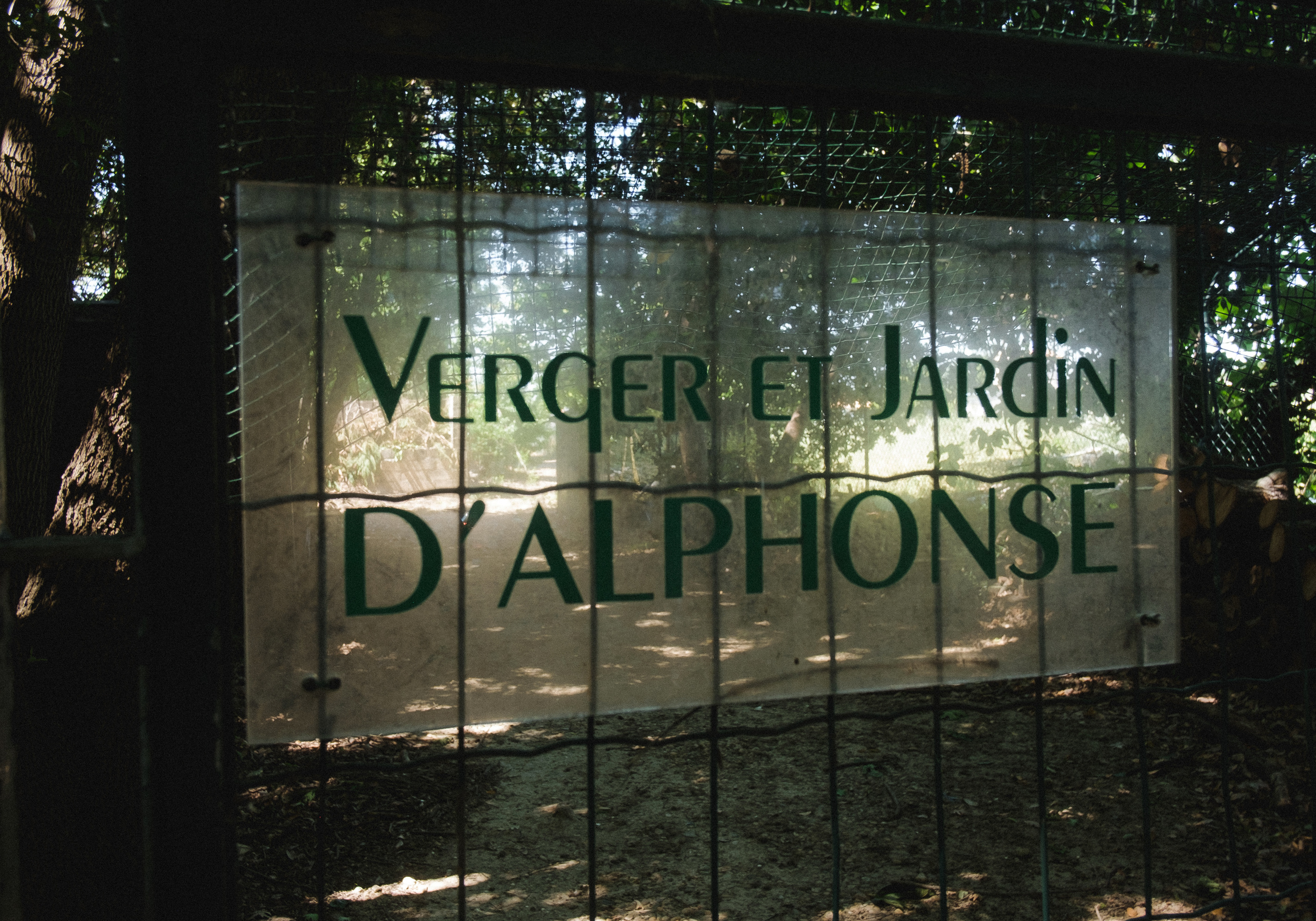 Пасека. Portrait and reportage photographer