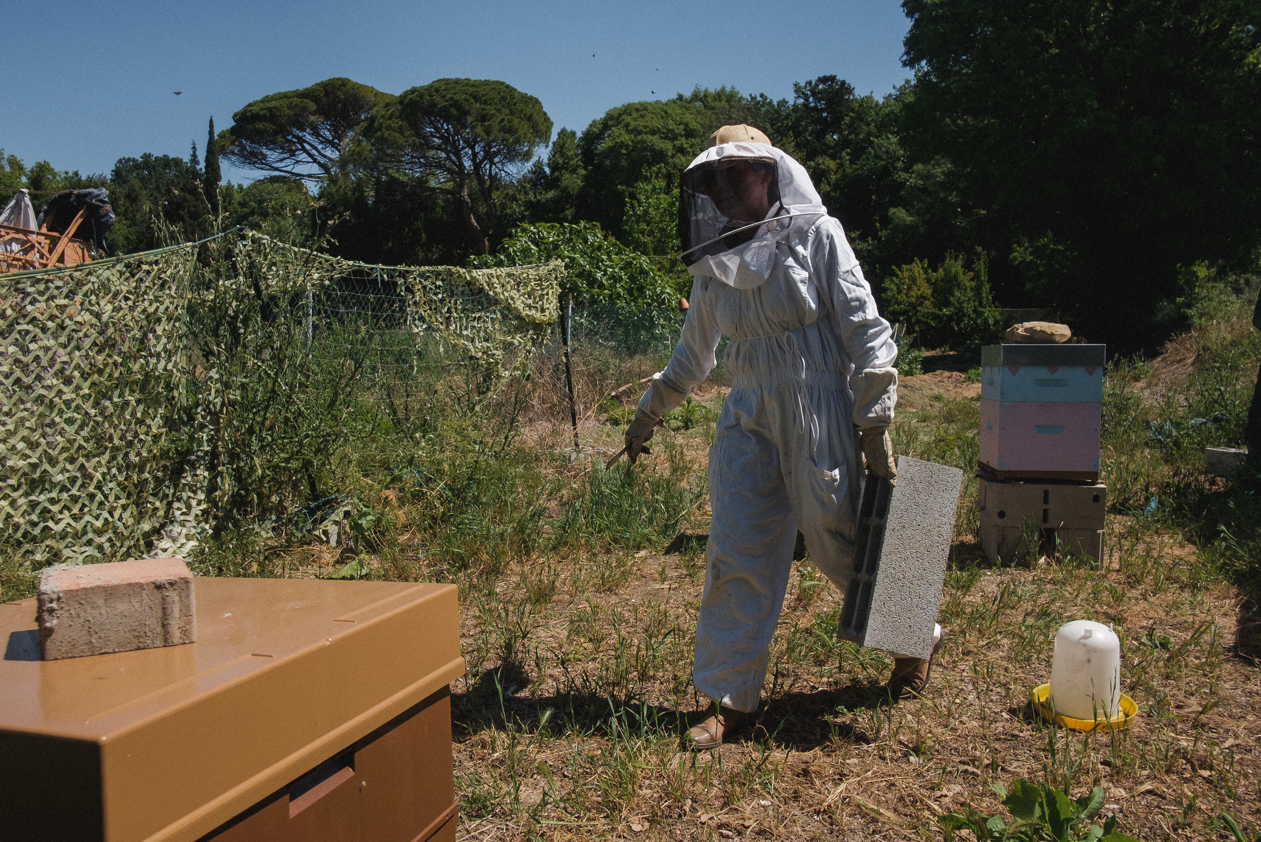 Пасека. Portrait and reportage photographer