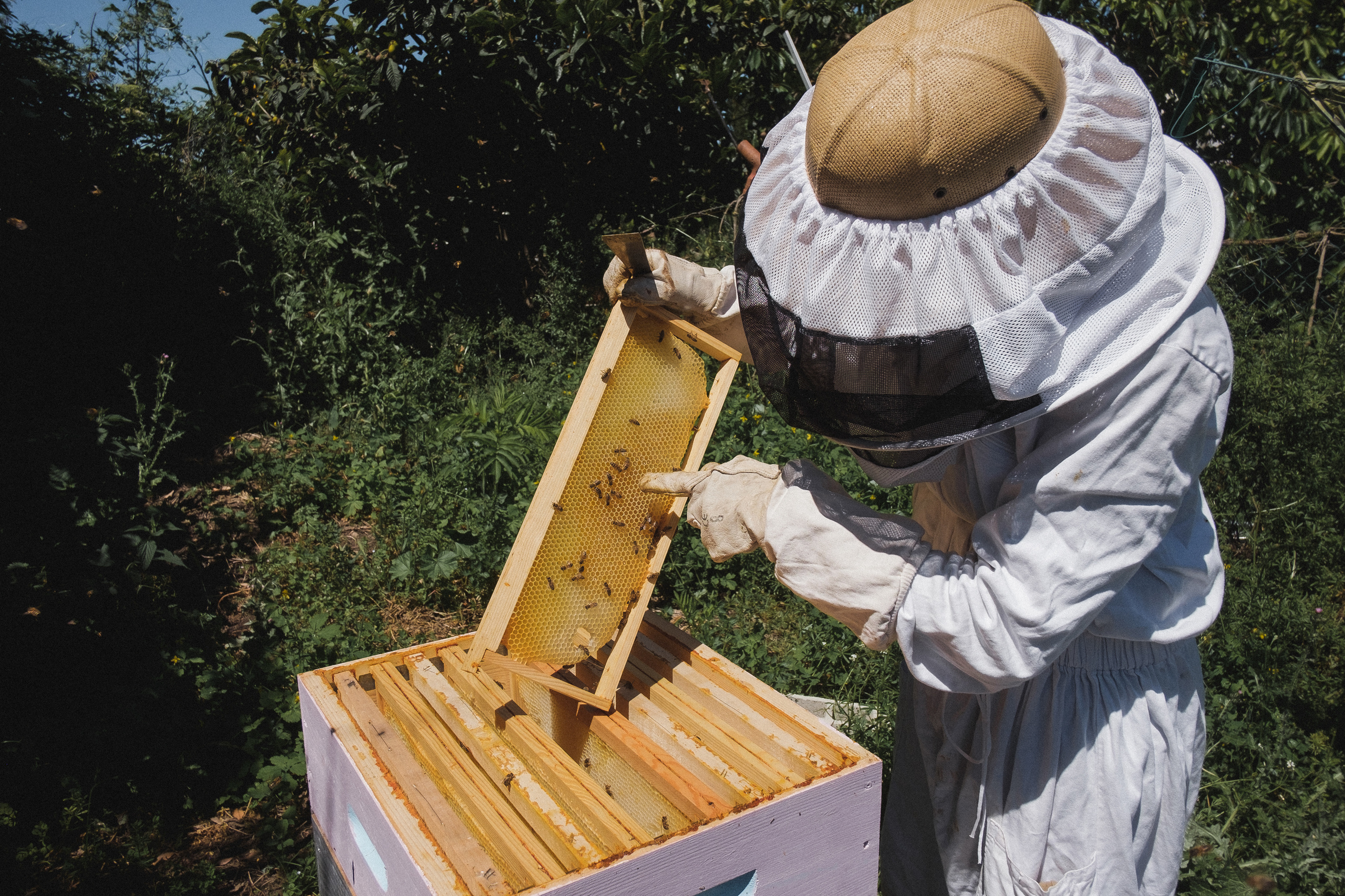 Пасека. Portrait and reportage photographer