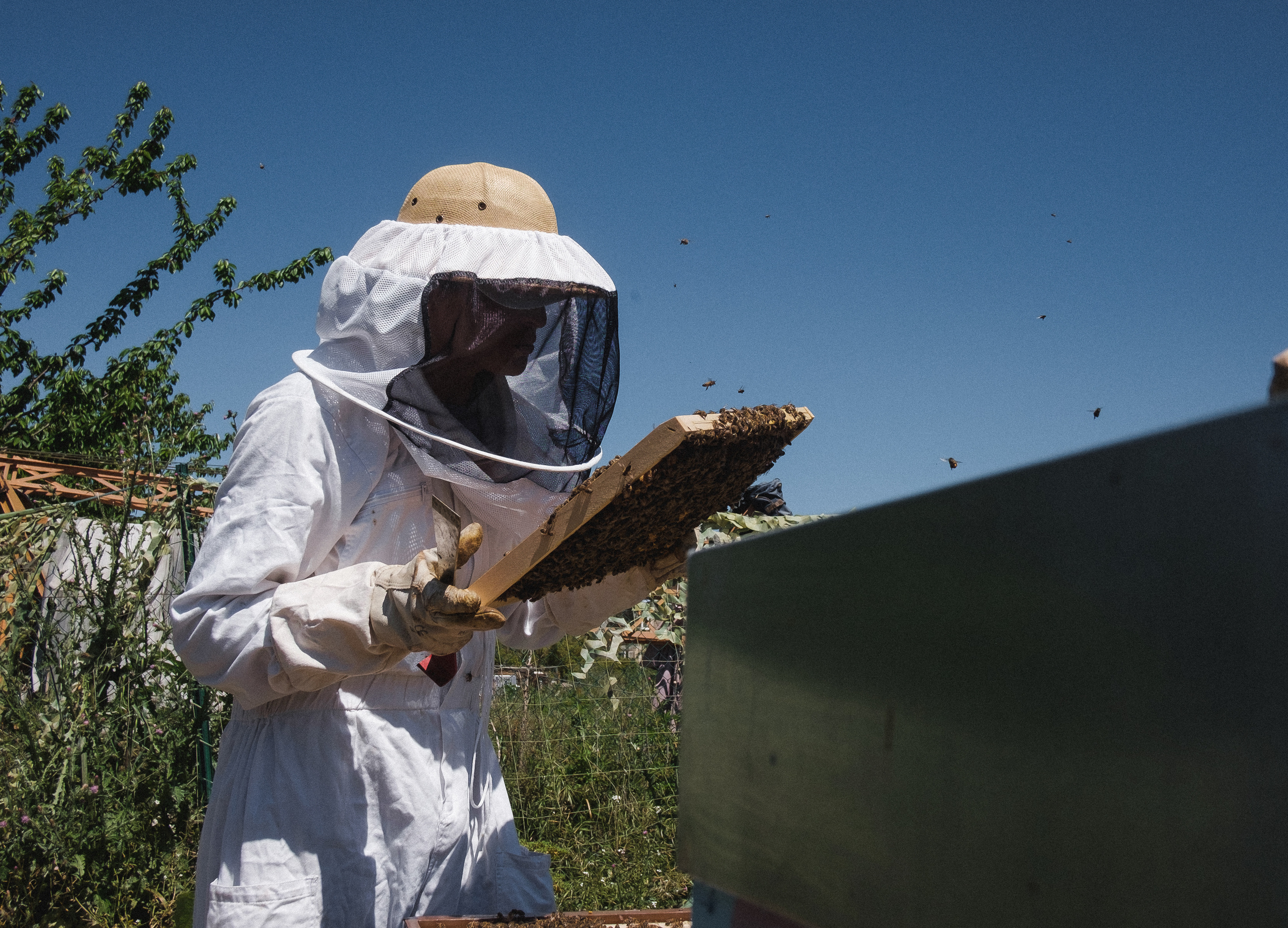 Пасека. Portrait and reportage photographer