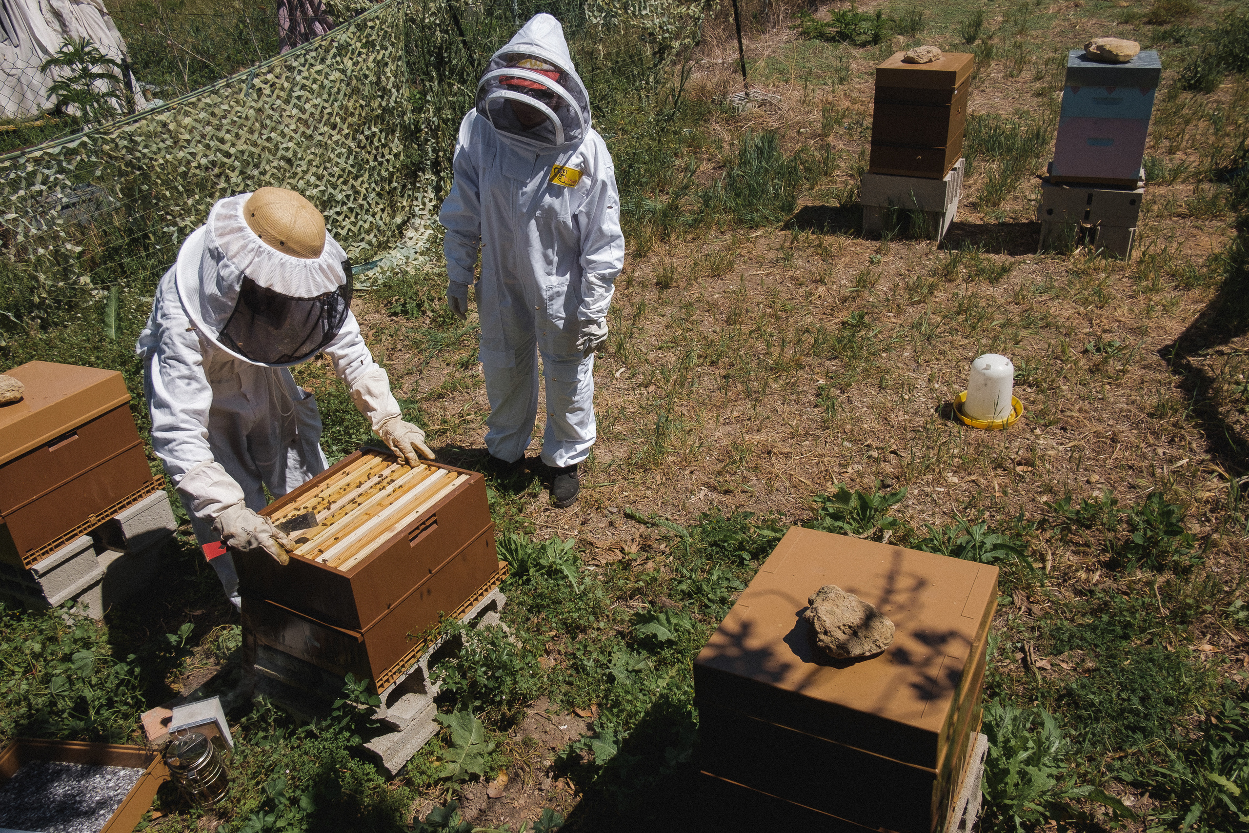 Пасека. Portrait and reportage photographer