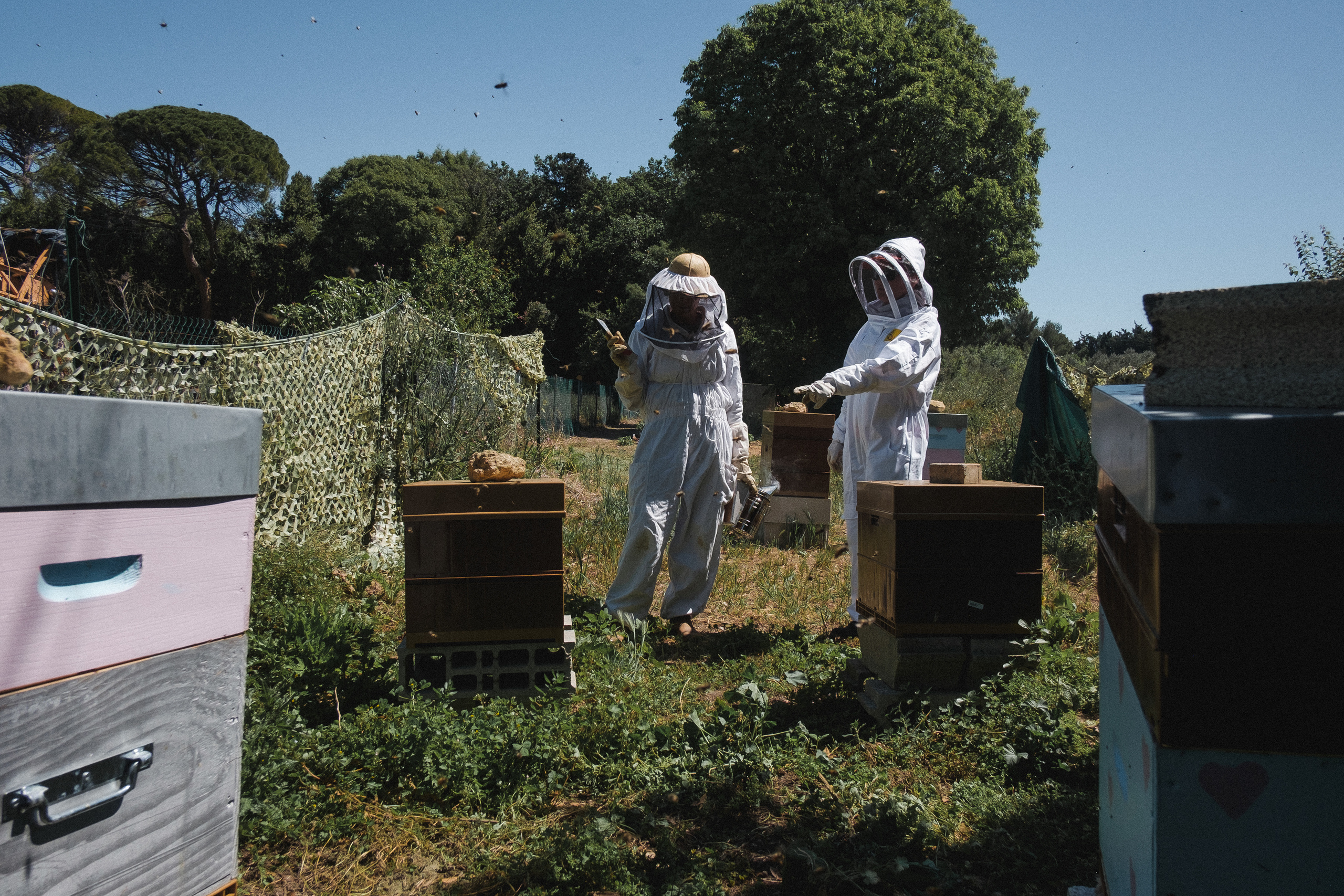 Пасека. Portrait and reportage photographer
