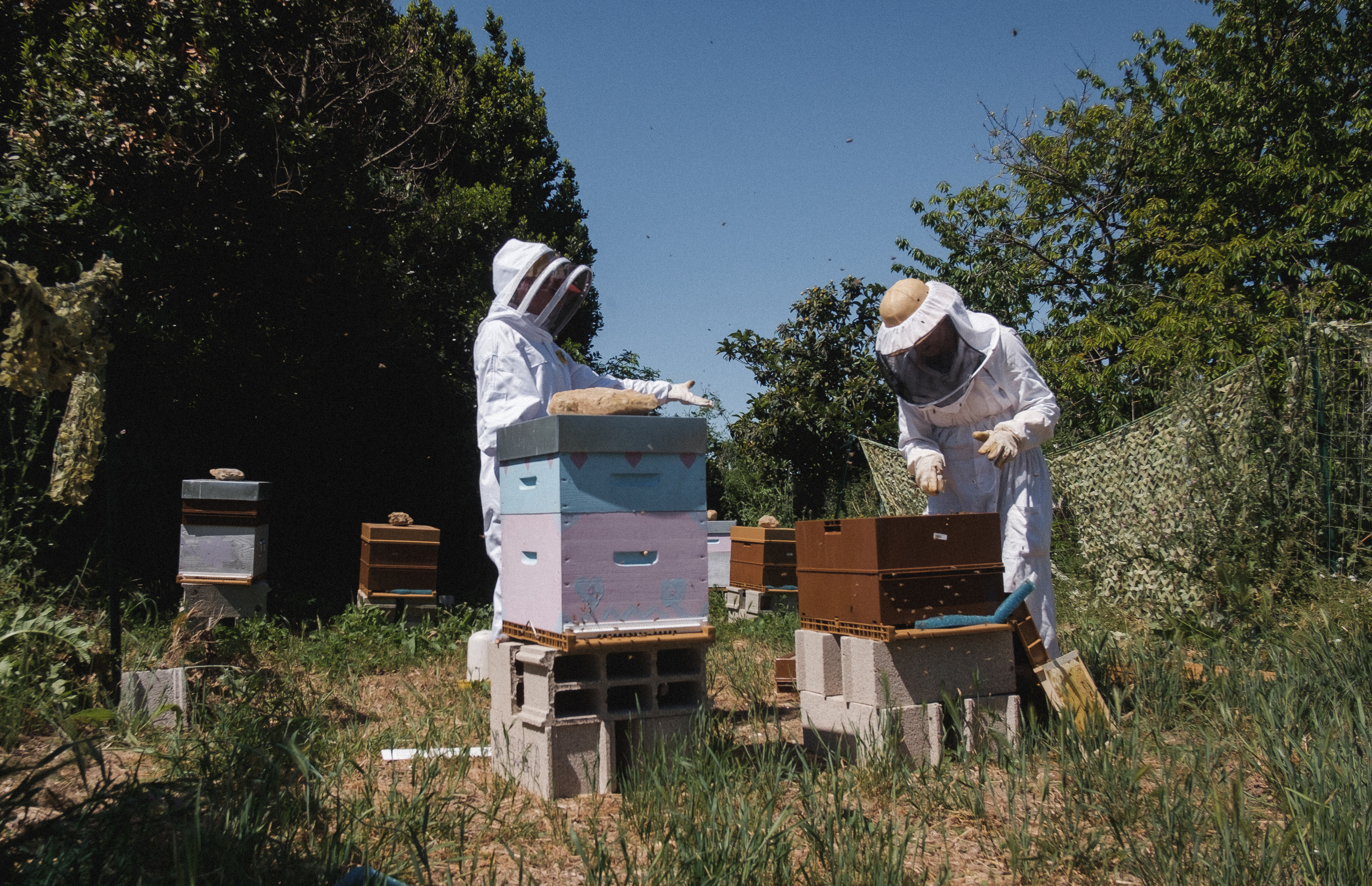 Пасека. Portrait and reportage photographer