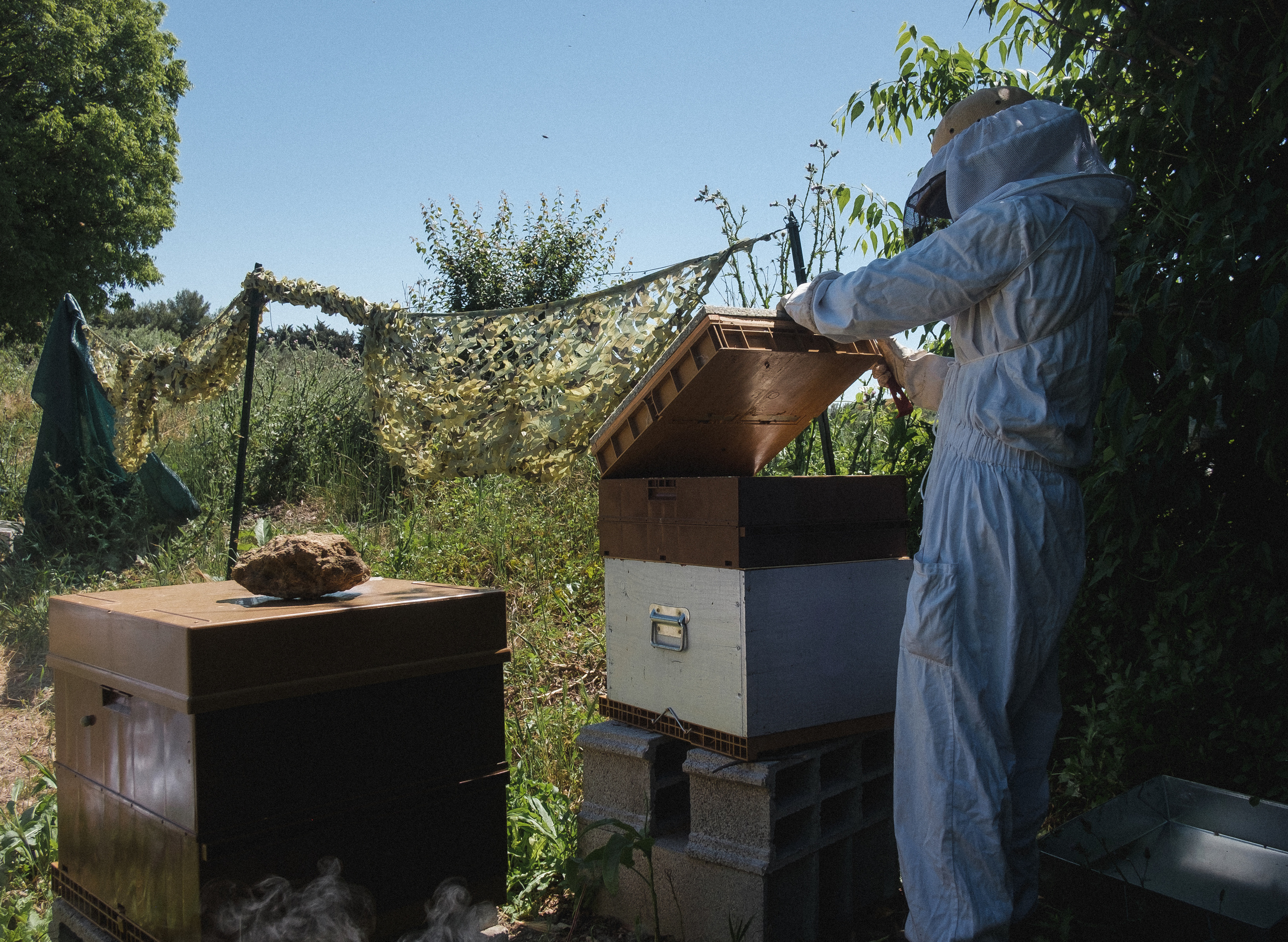 Пасека. Portrait and reportage photographer