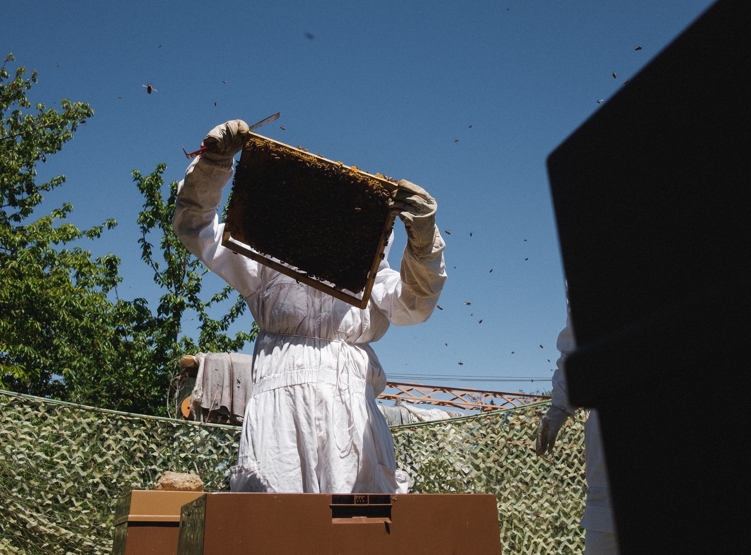 Пасека. Portrait and reportage photographer