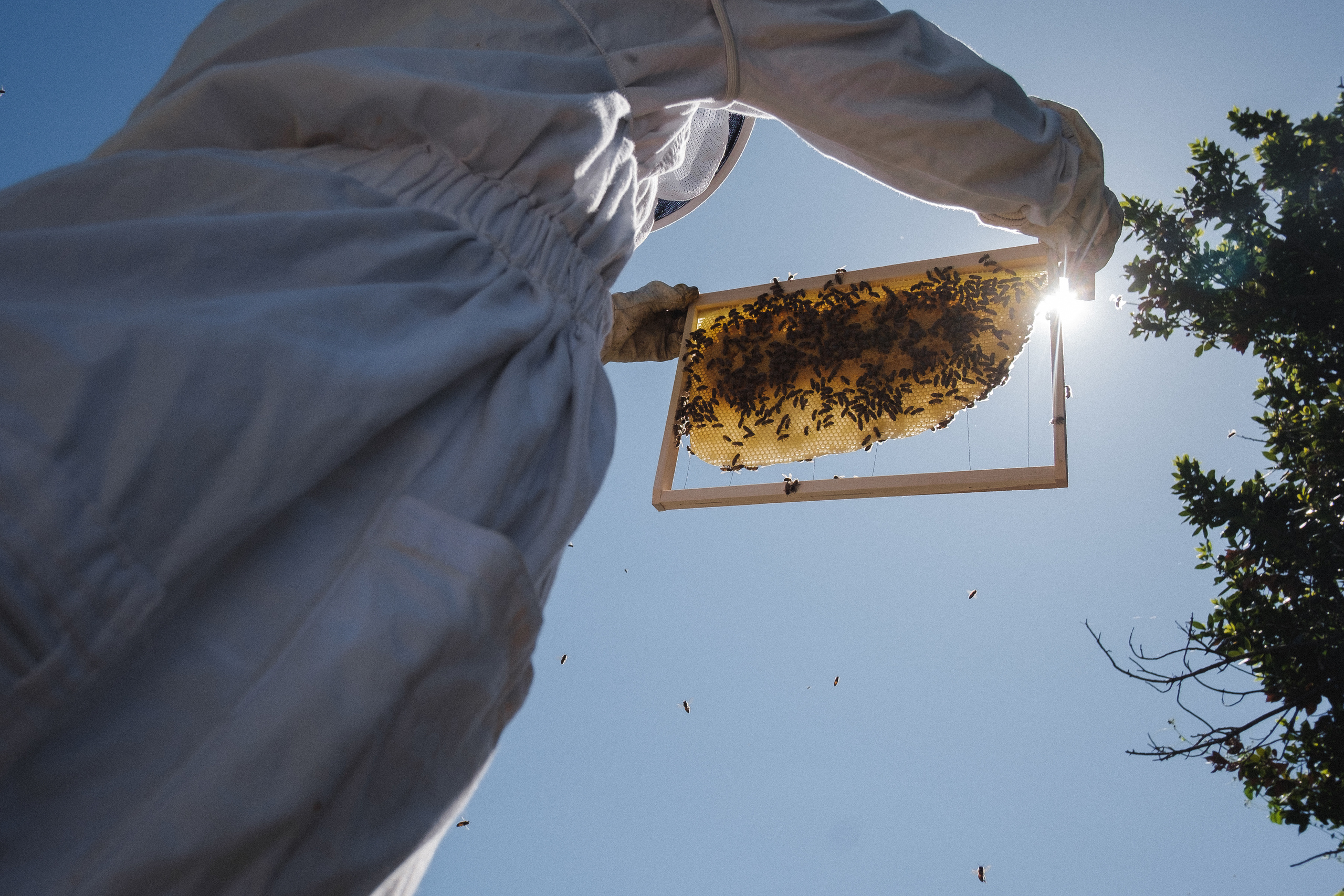 Пасека. Portrait and reportage photographer