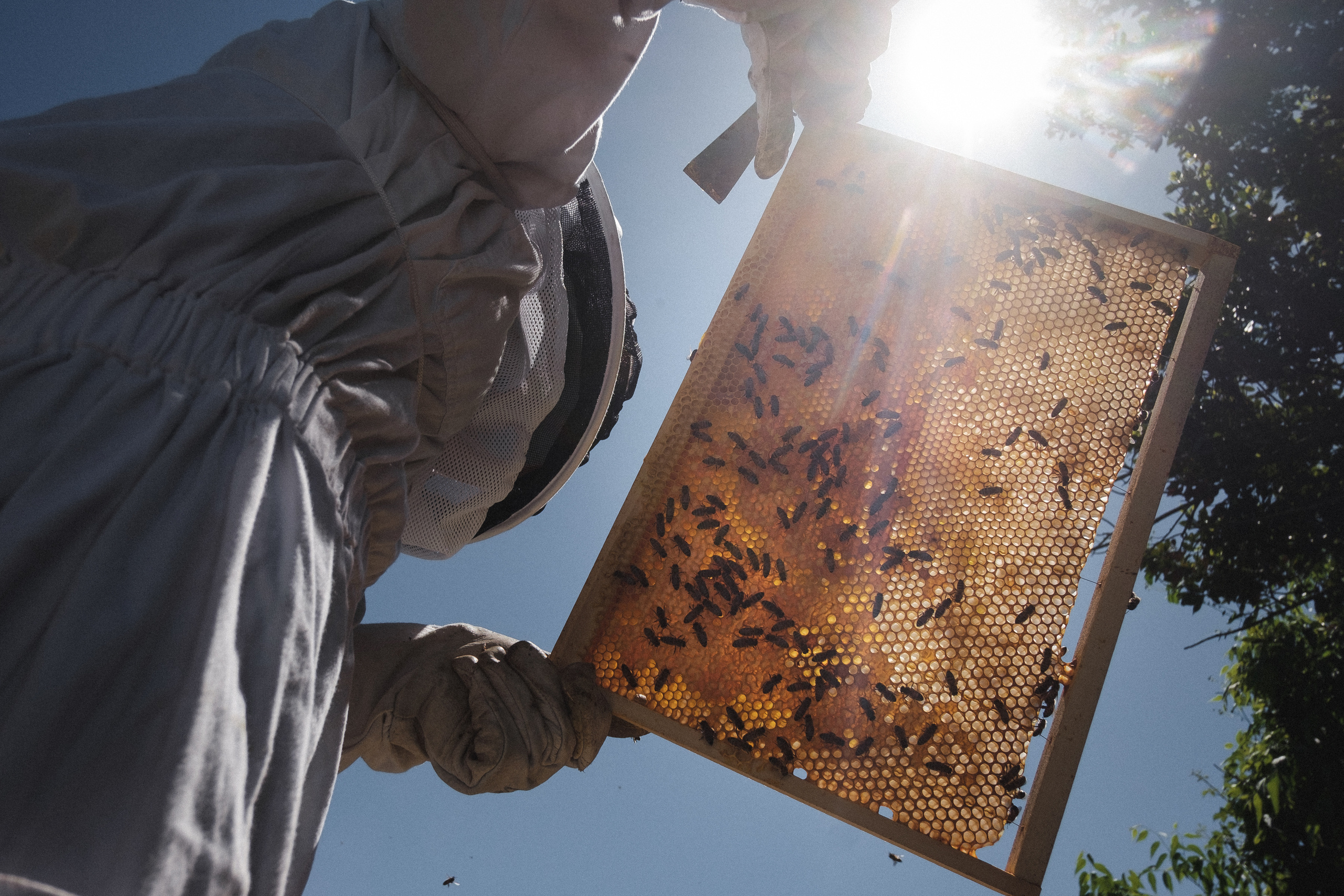 Пасека. Portrait and reportage photographer