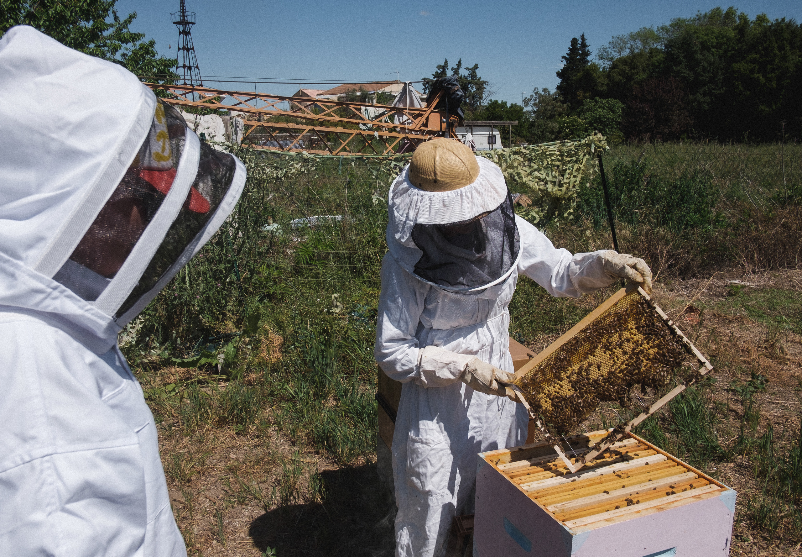 Пасека. Portrait and reportage photographer