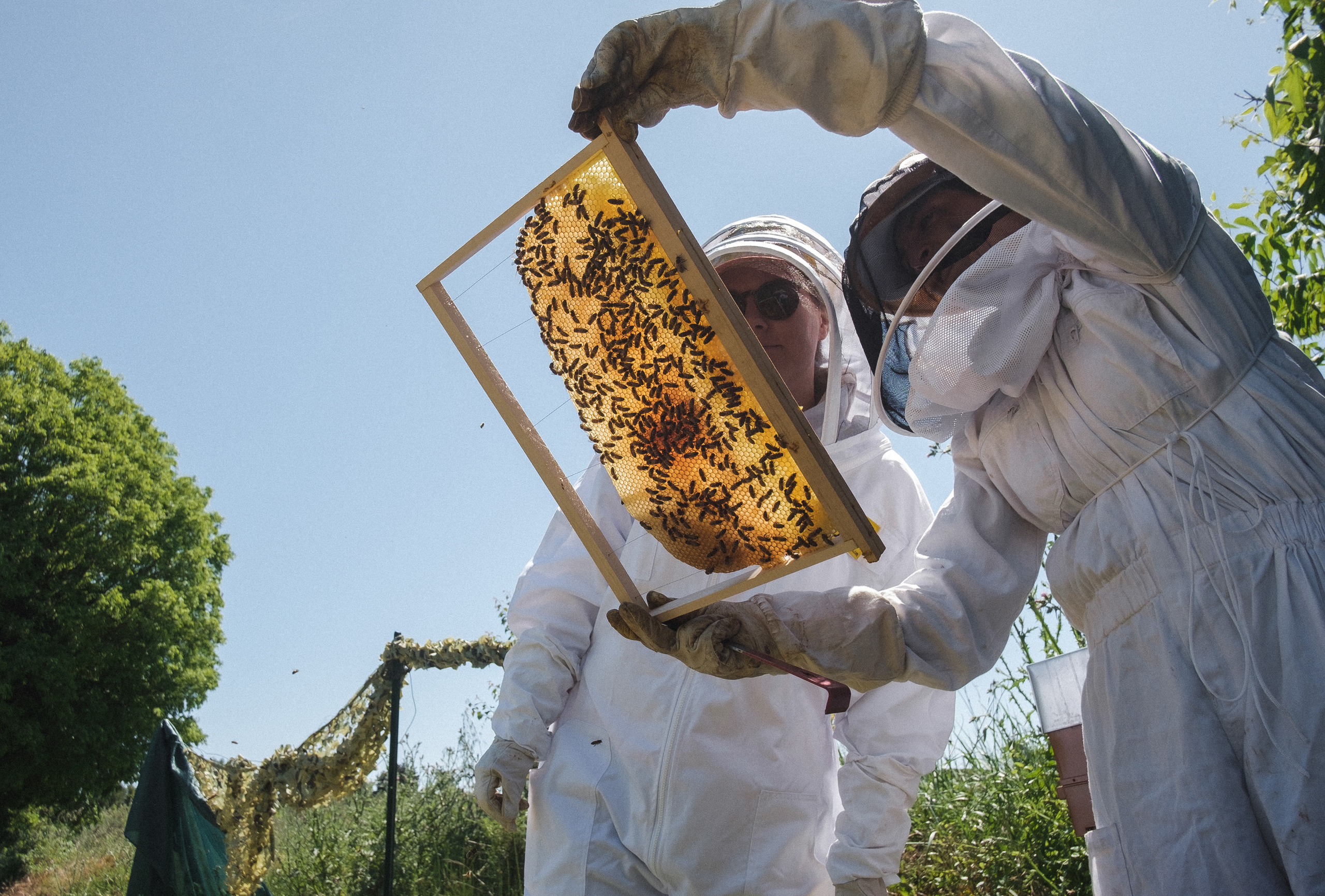Пасека. Portrait and reportage photographer