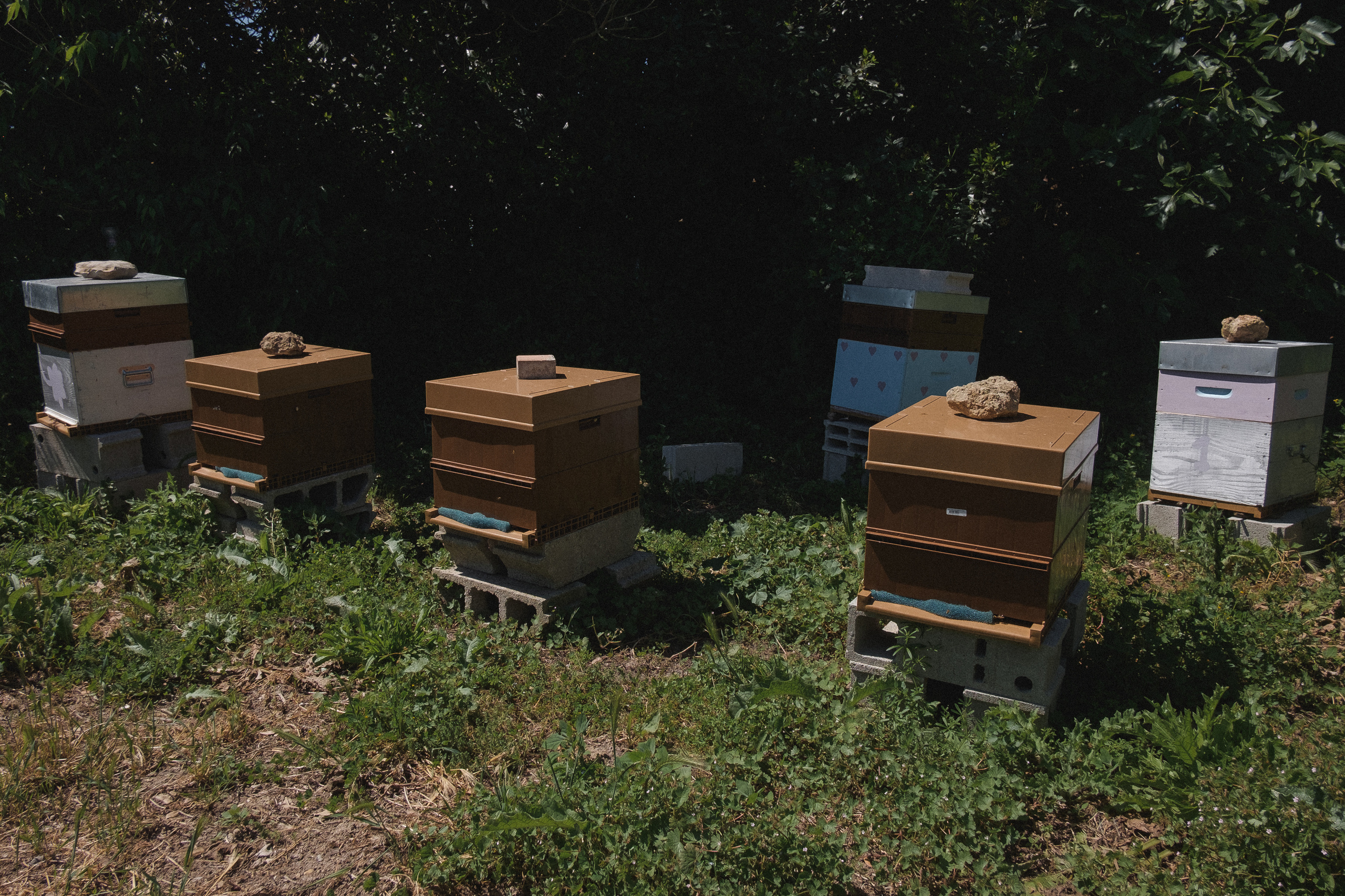 Пасека. Portrait and reportage photographer