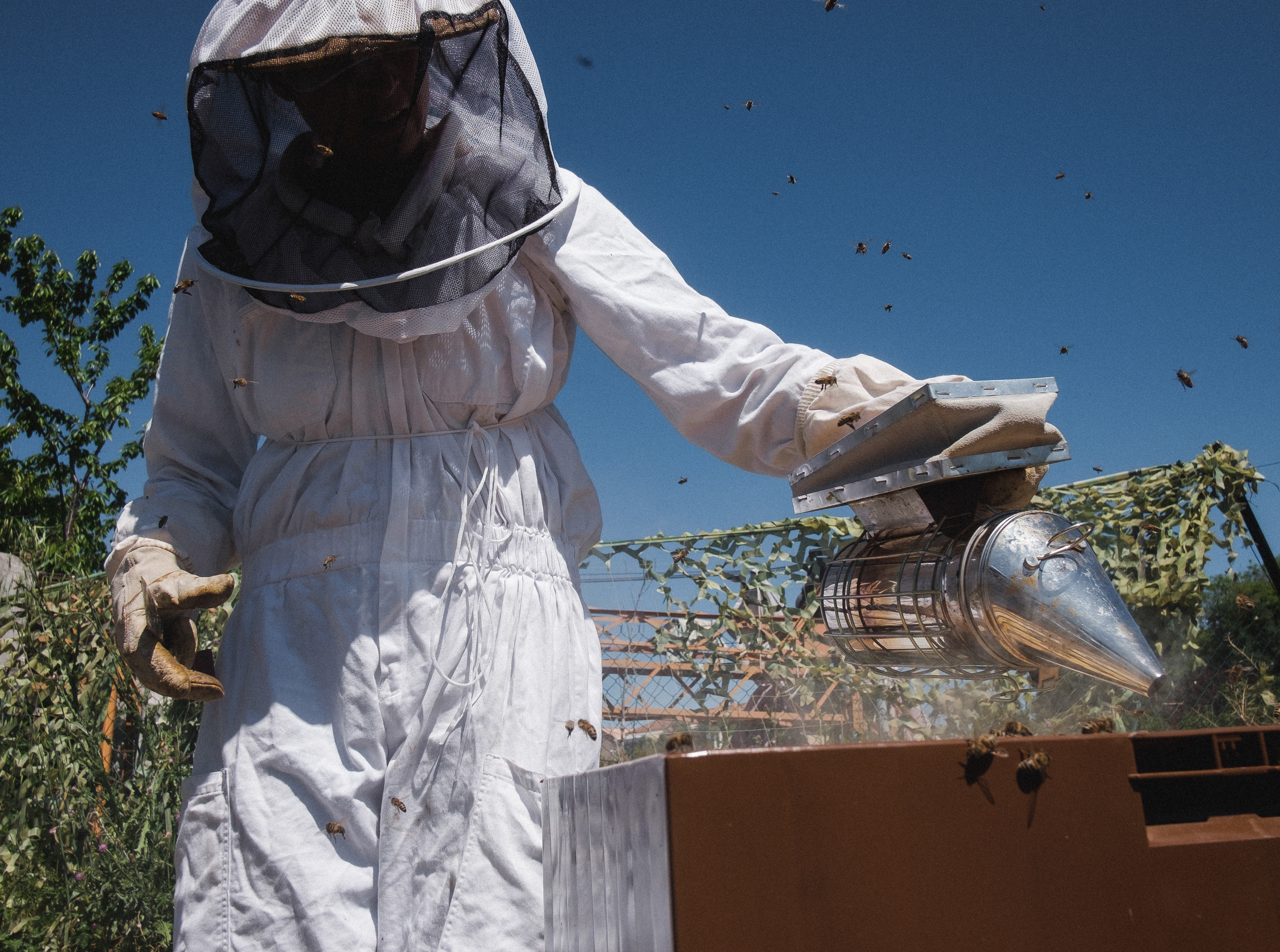 Пасека. Portrait and reportage photographer