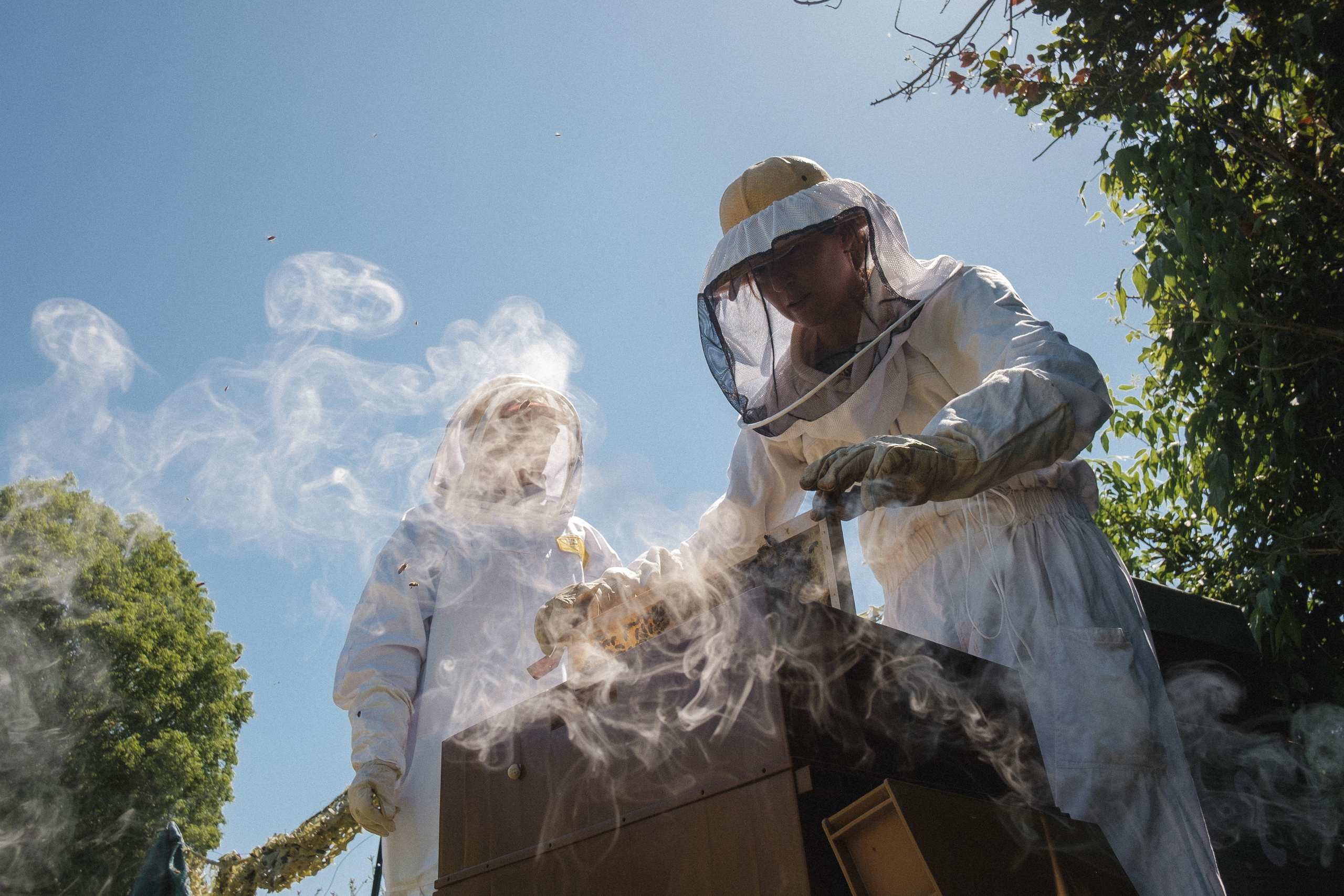 Пасека. Portrait and reportage photographer