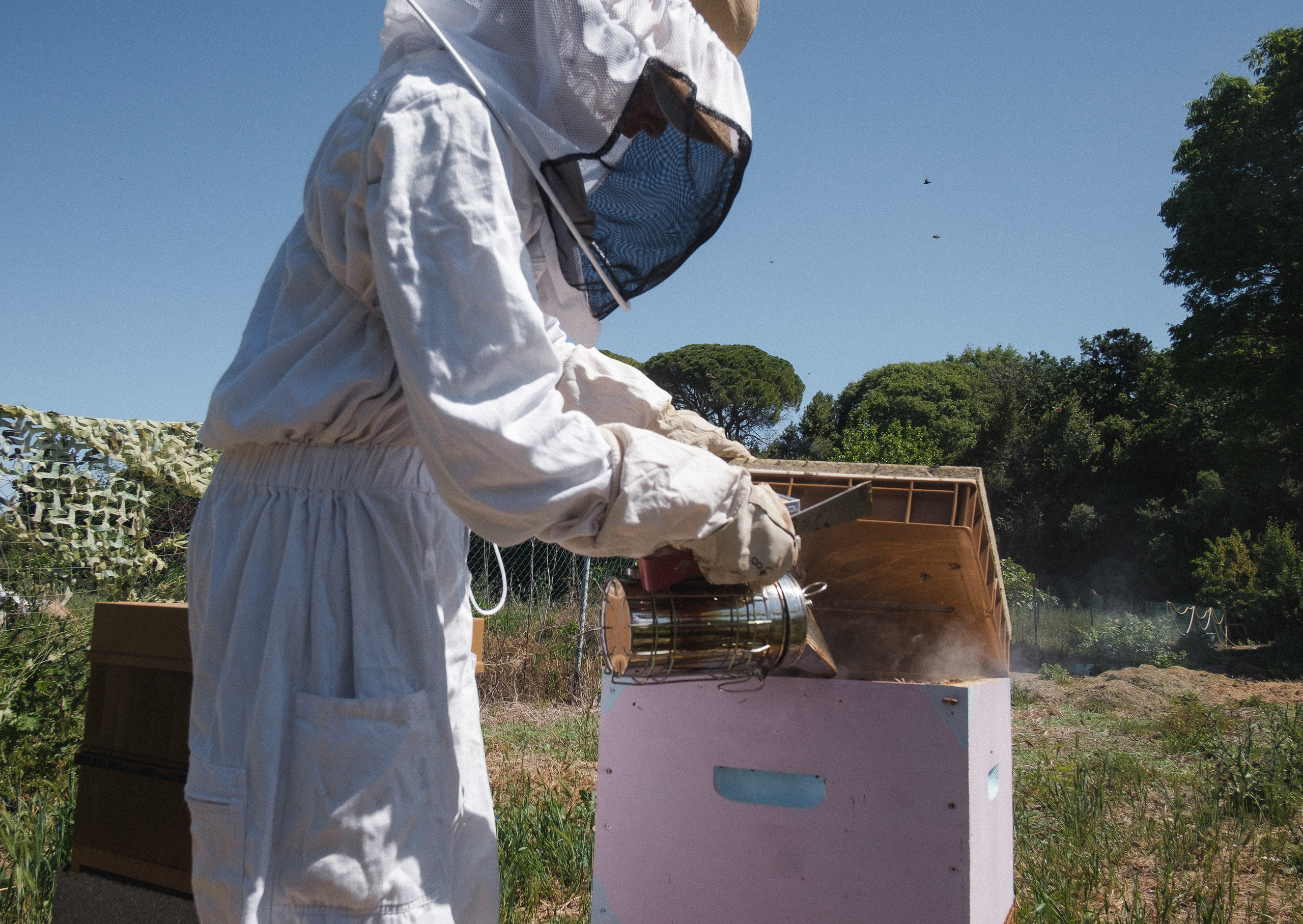 Пасека. Portrait and reportage photographer